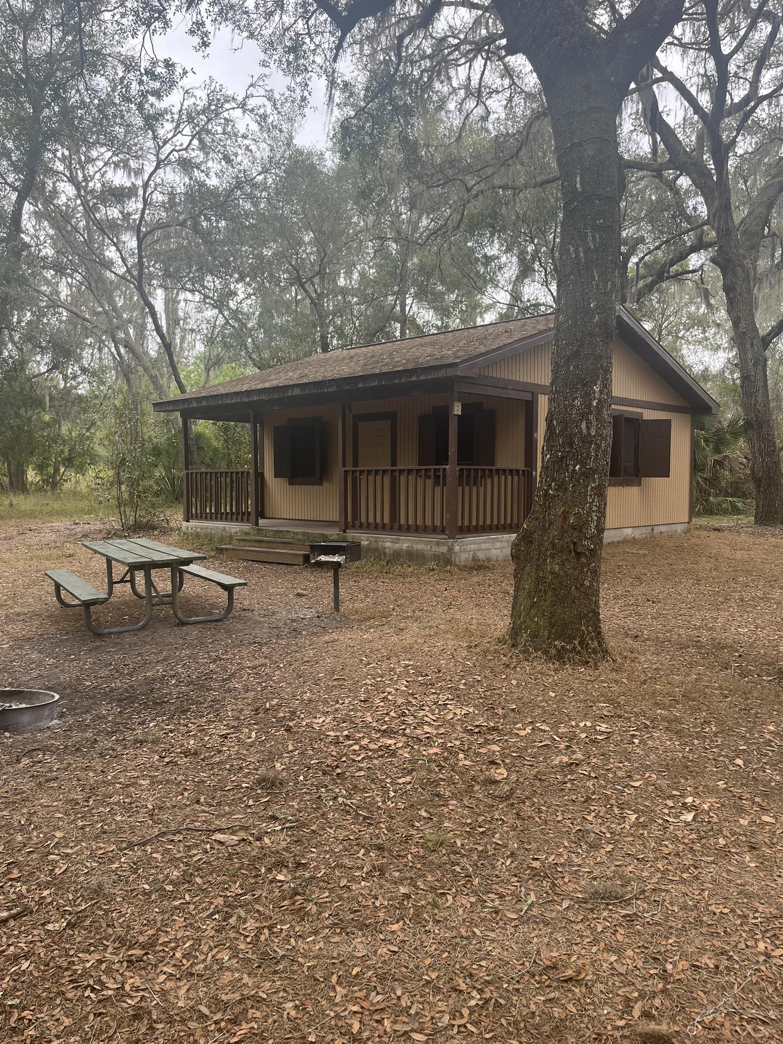 Rustic cabin with a porch, picnic table, and grill in a wooded area.