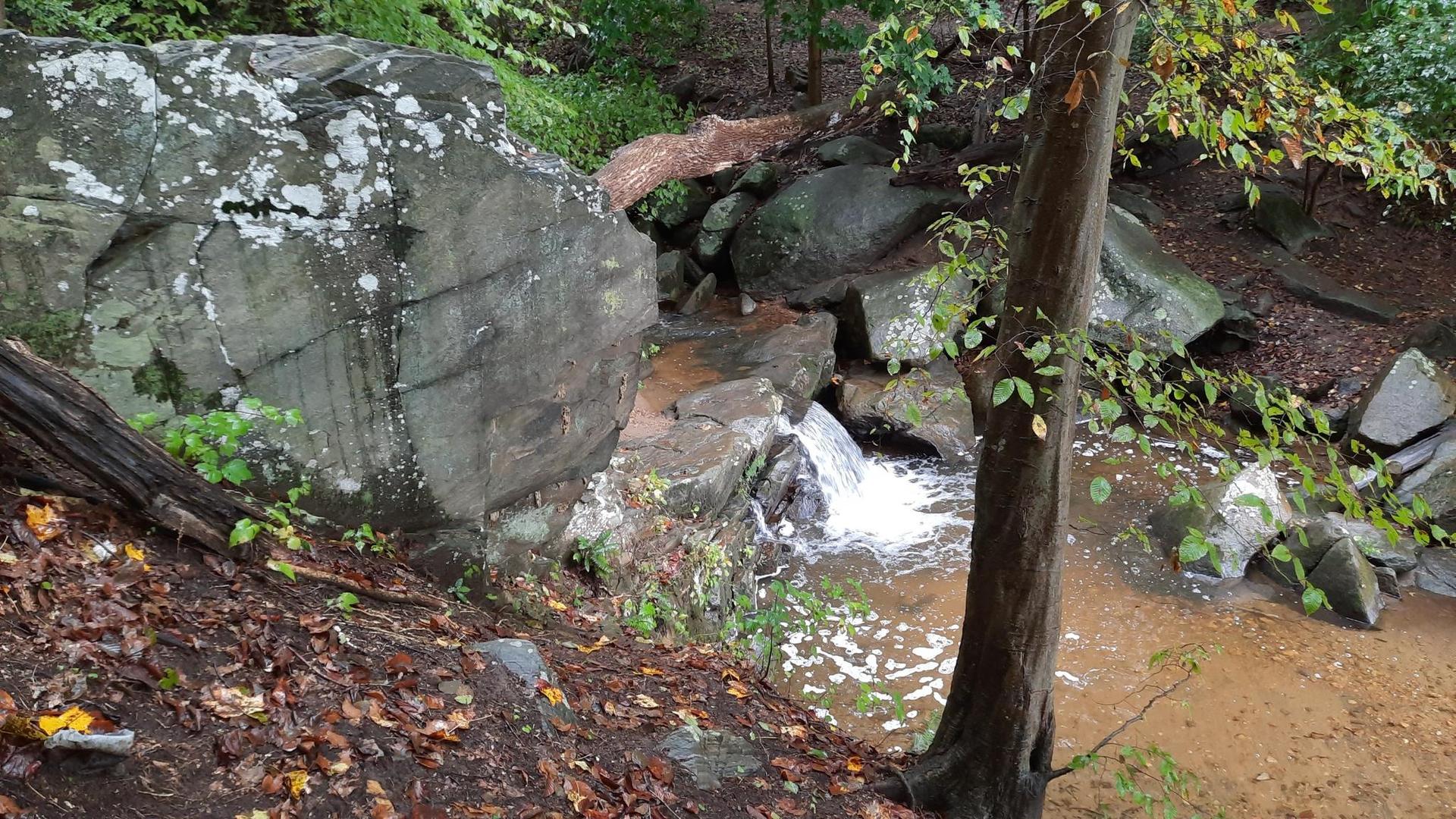 Small waterfall in a rocky stream next to a large mossy boulder.