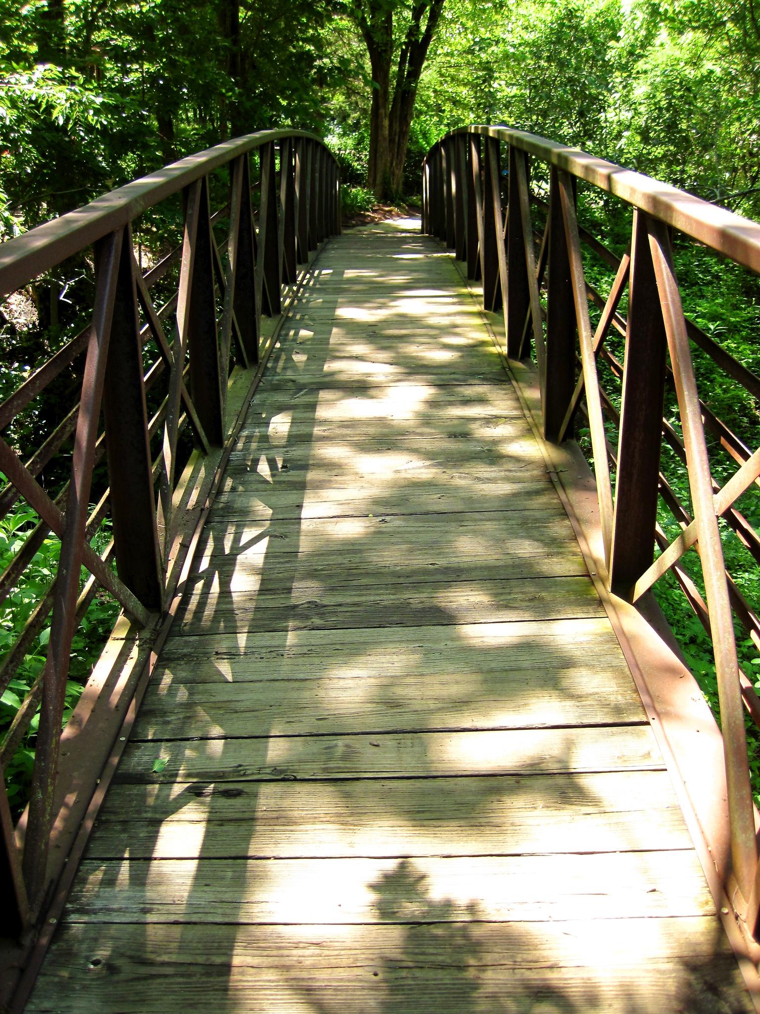 A wooden bridge with metal railings extends into a sun-dappled green forest.