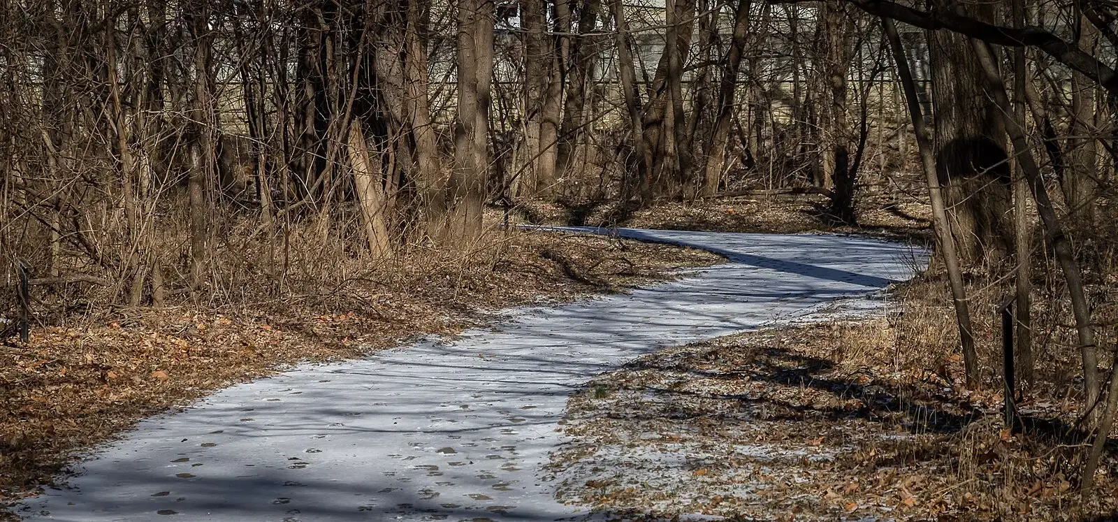 A winding snowy path through a bare winter forest on a sunny day.