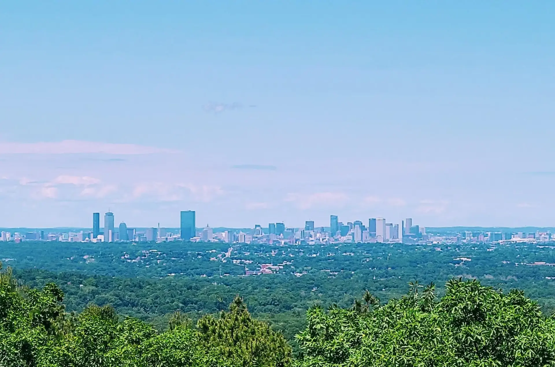 Distant city skyline visible over a lush green forest on a clear day.
