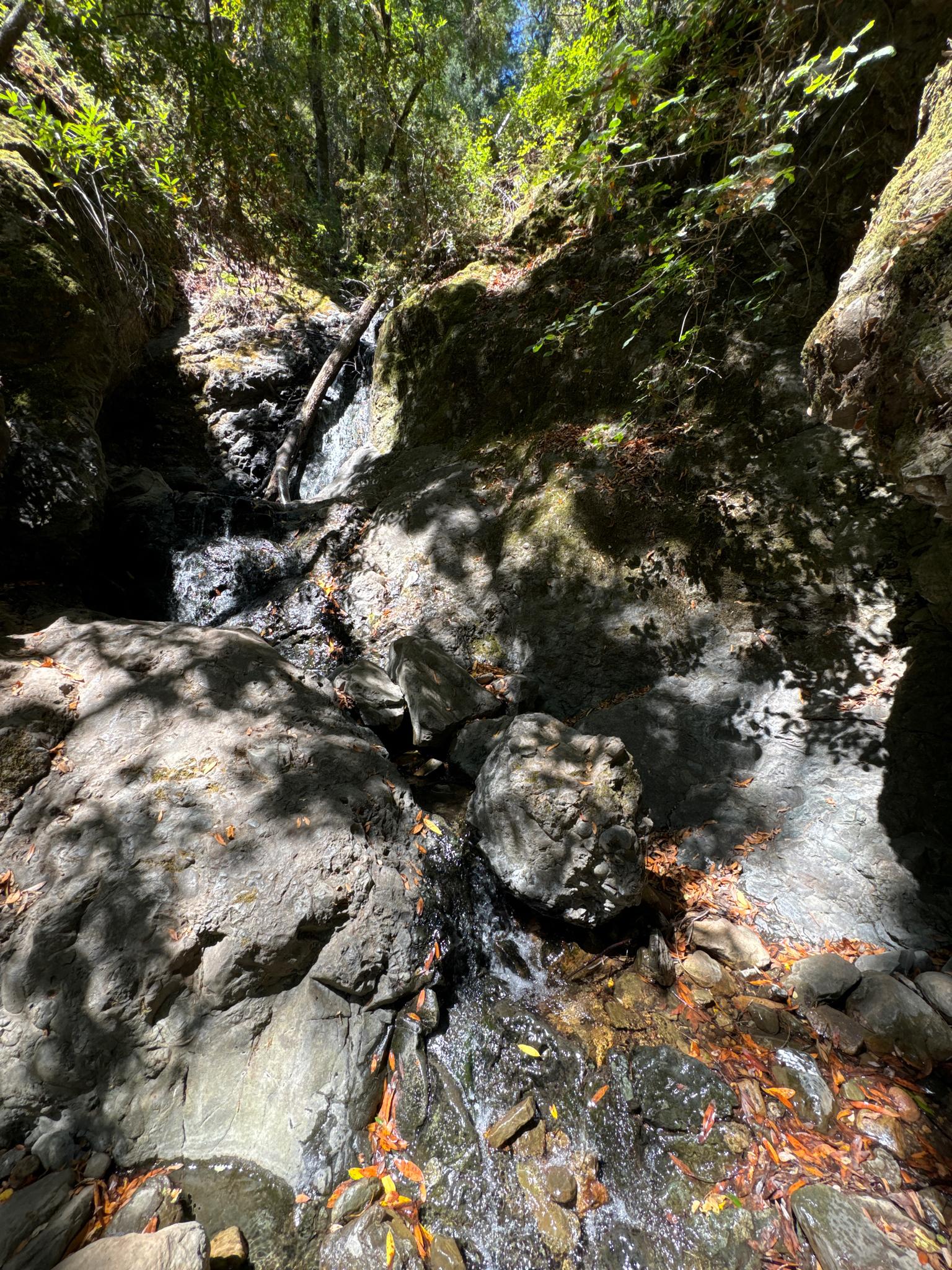 A rocky stream bed with a small waterfall, surrounded by sunlit forest.