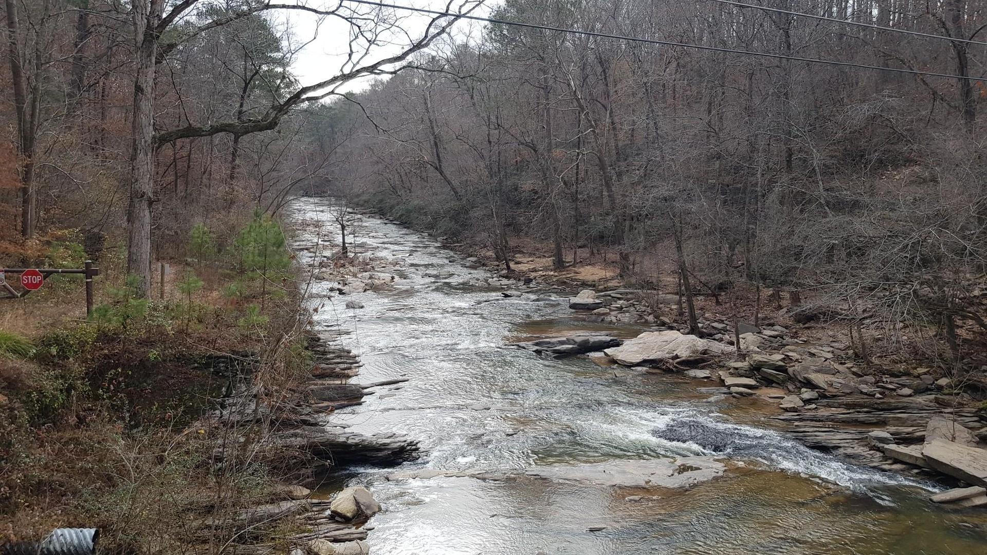 Rocky river flowing through a forest with bare trees under an overcast sky.