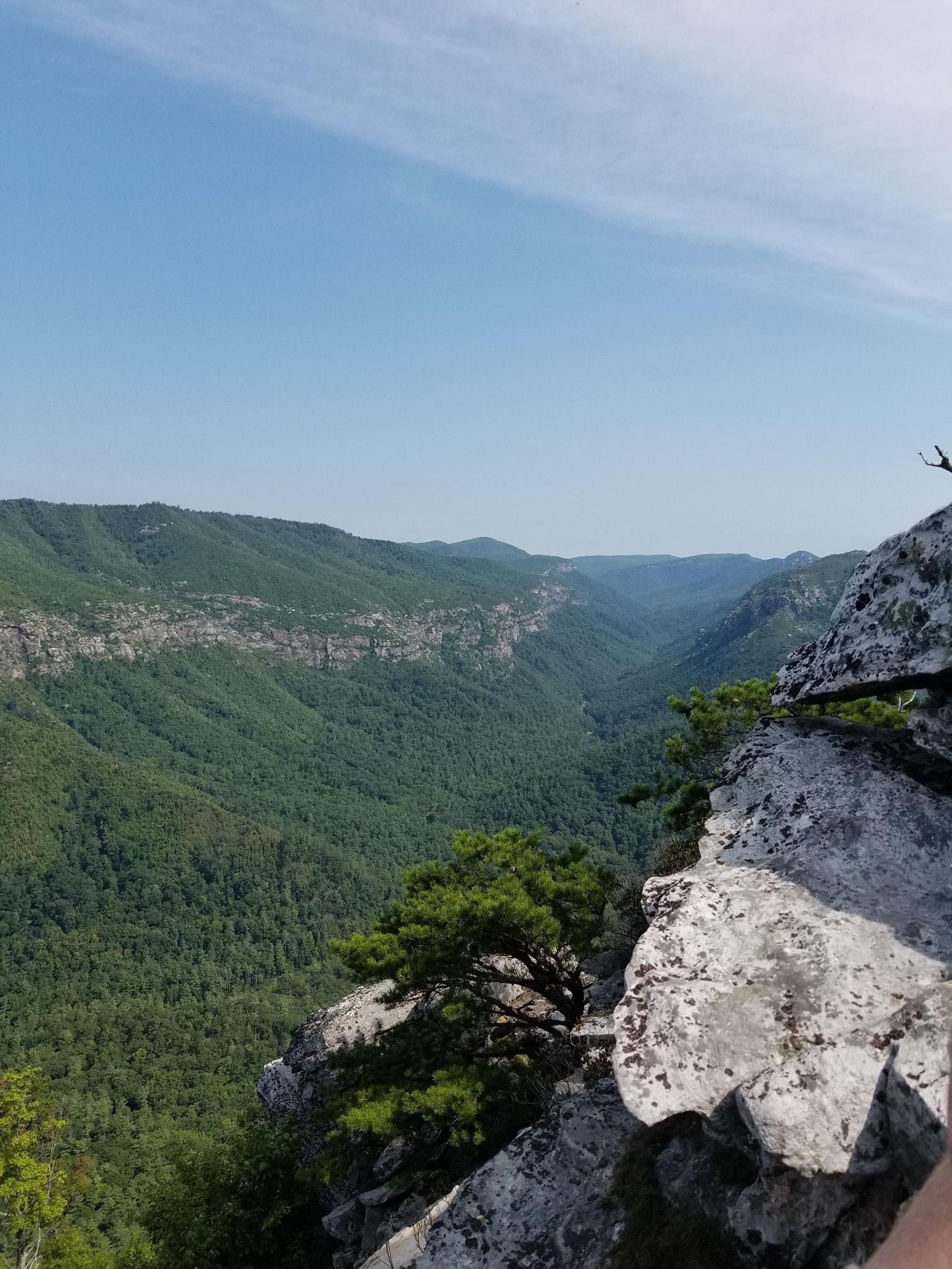 Lush green valley and distant mountains under a clear blue sky. - Shortoff Mountain Trail
