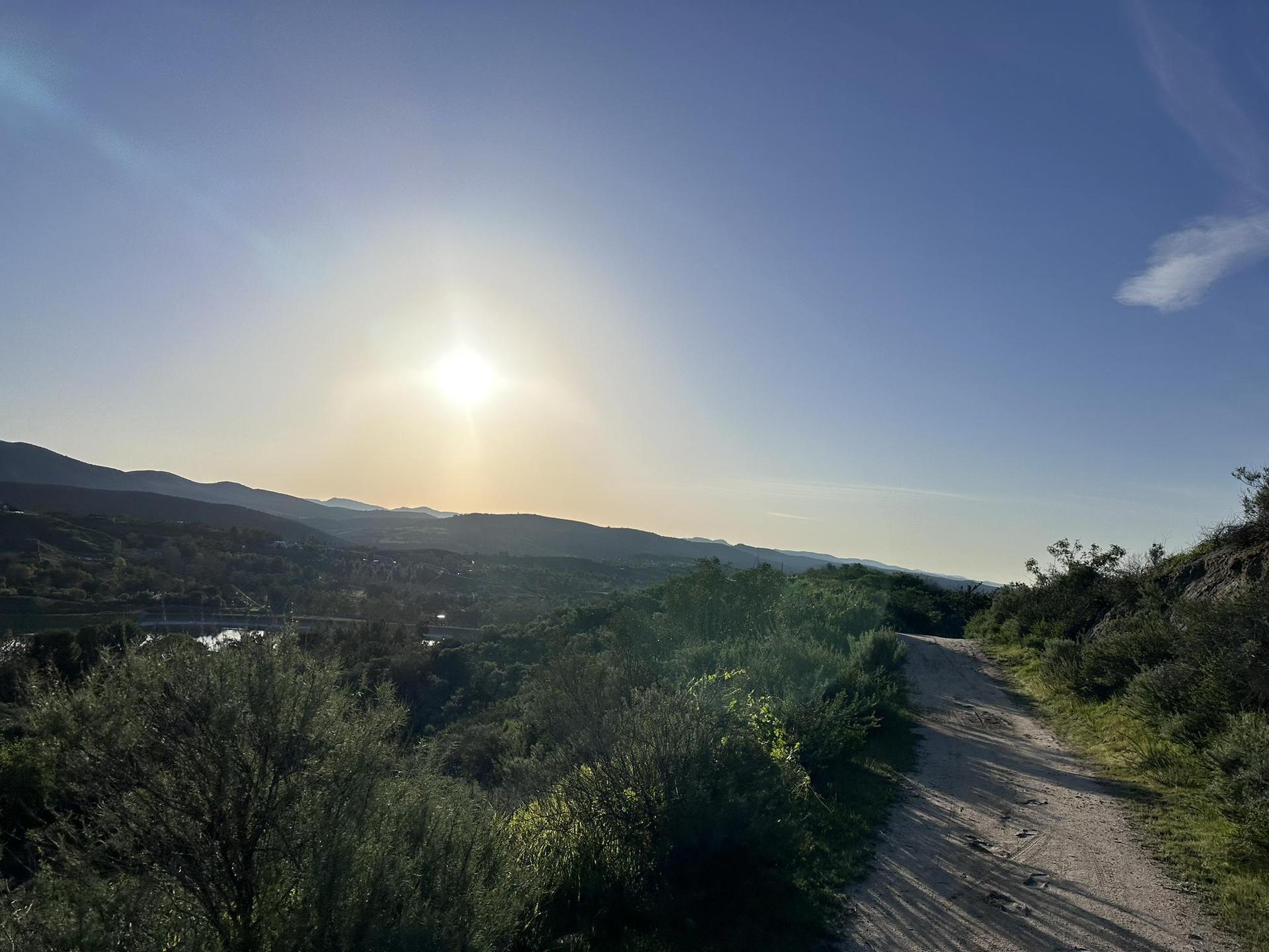 A dirt path winds through green hills and trees under a bright, low sun.