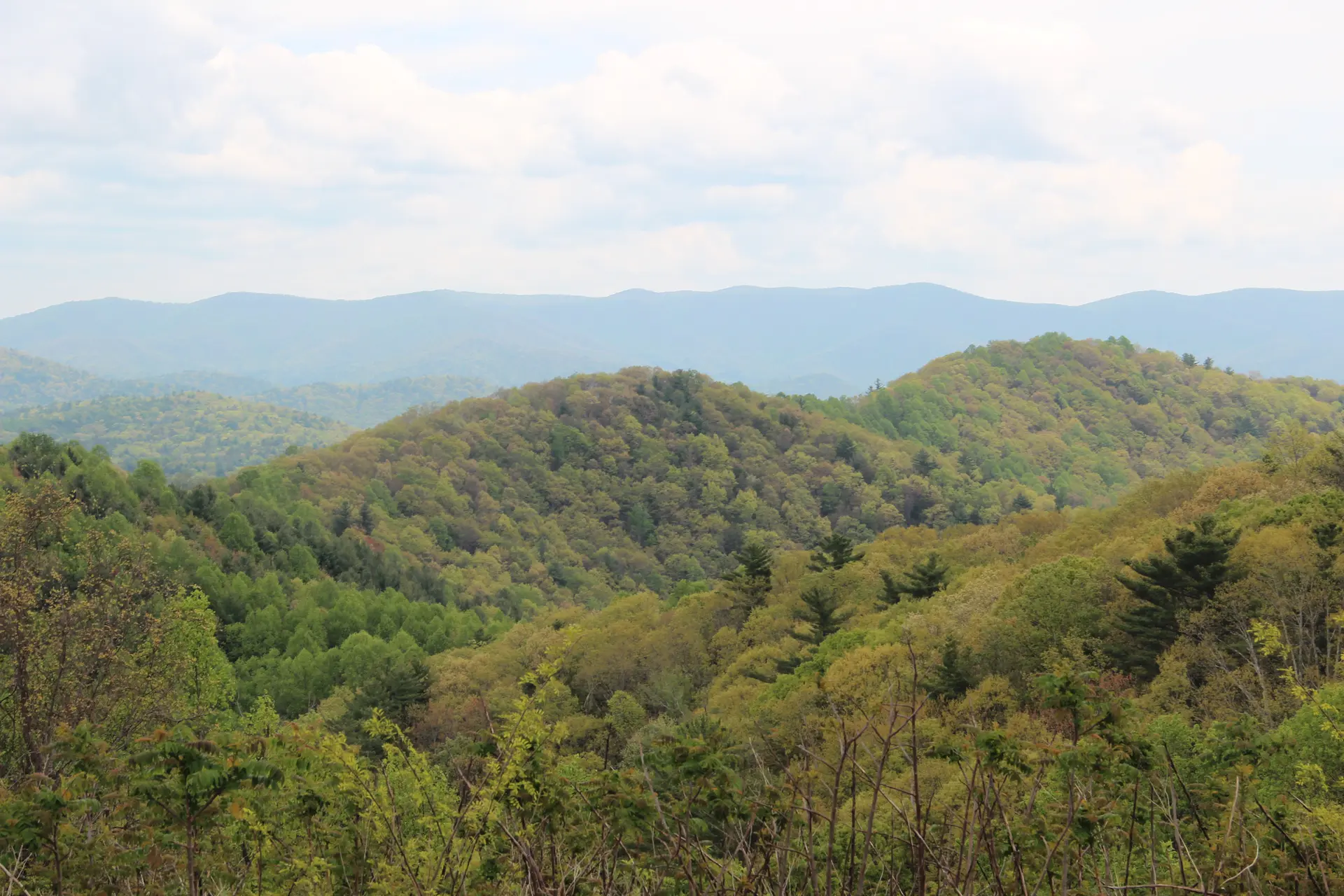 Rolling green mountains covered in trees under a bright, hazy sky.