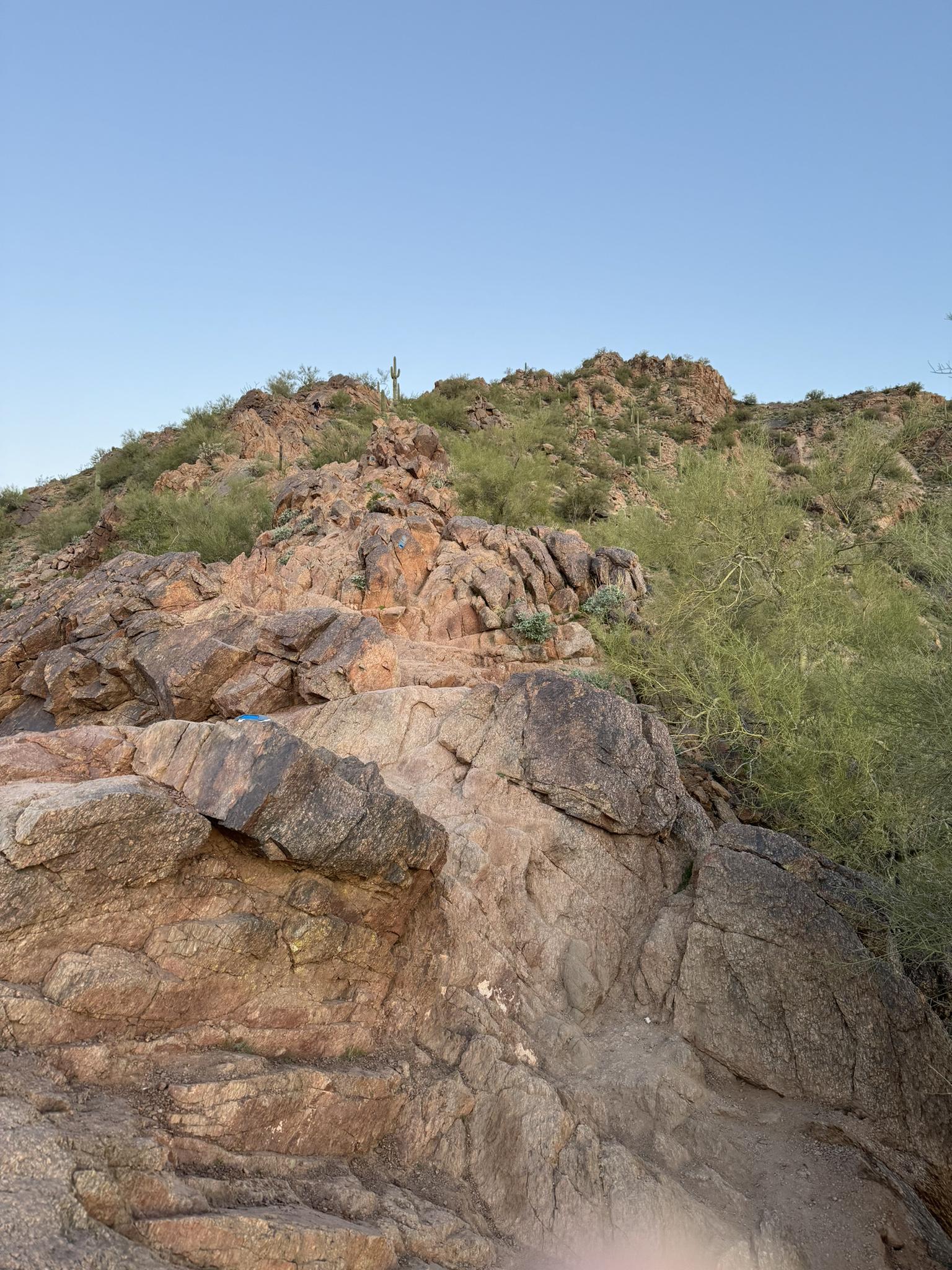 Rocky desert hillside with green shrubs under a clear blue sky.