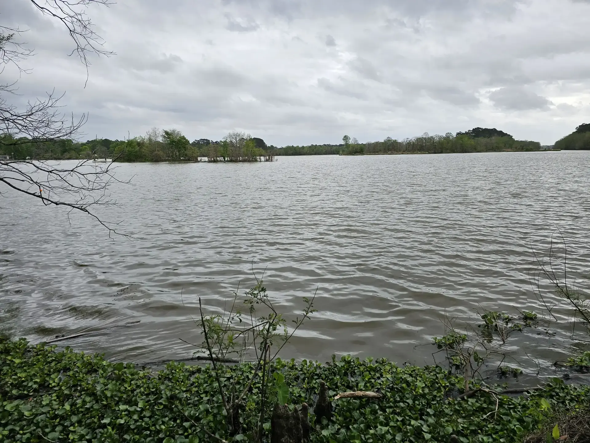 Wide view of a large lake under an overcast sky with green foliage.