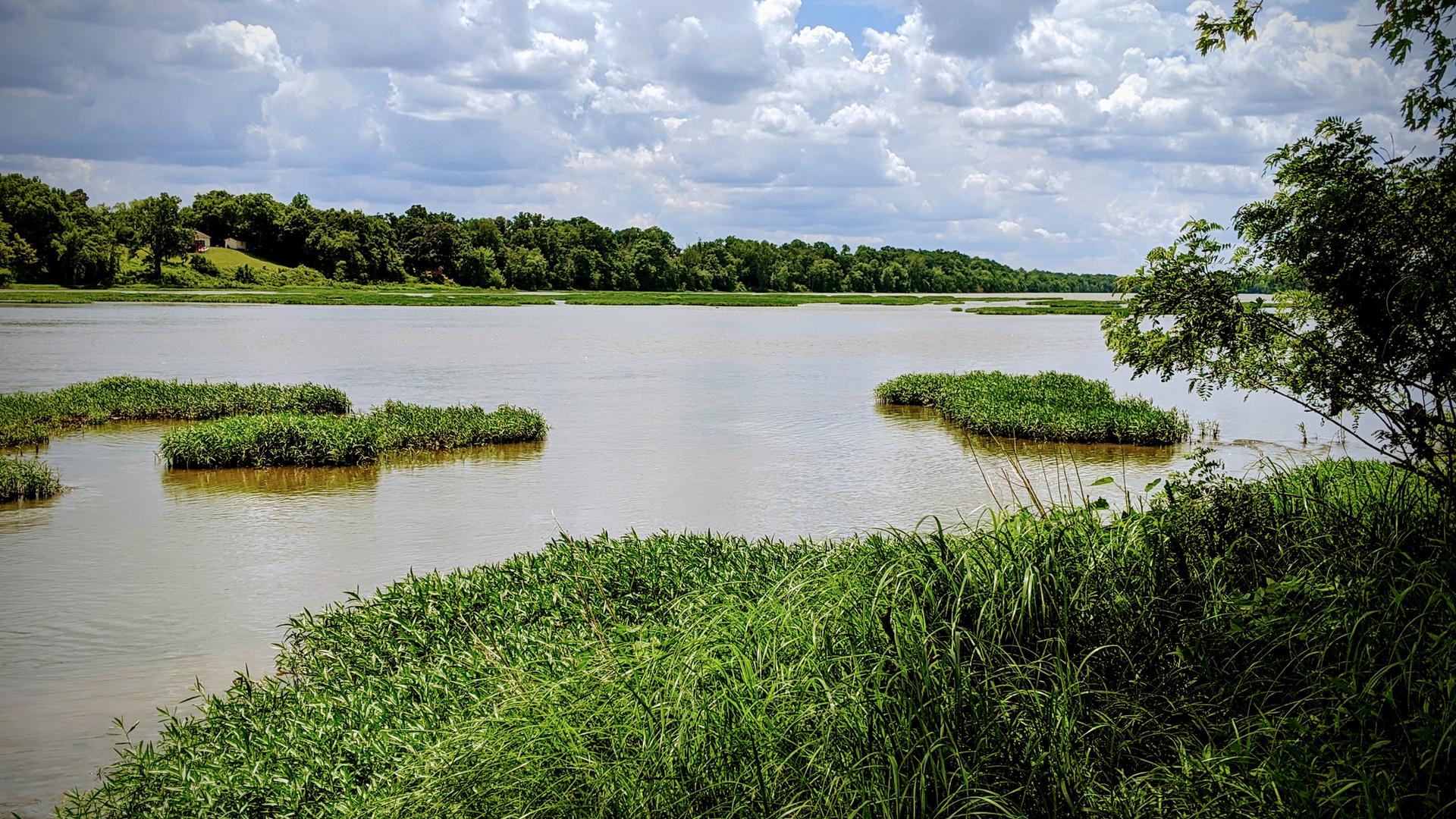 A wide river with green islands and forested banks under a cloudy sky.