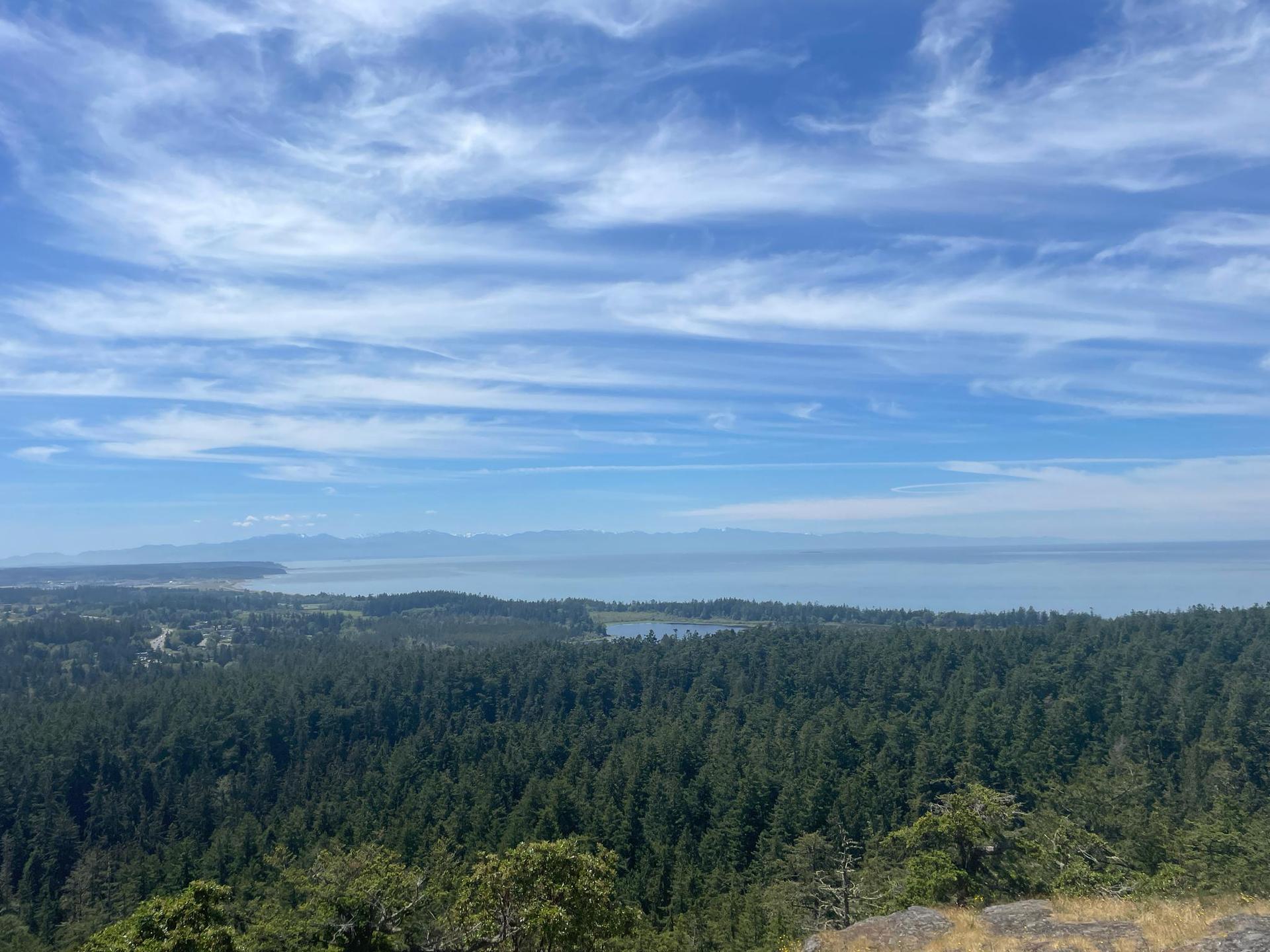 Expansive view of a vast forest, ocean, and distant land under a cloudy sky.