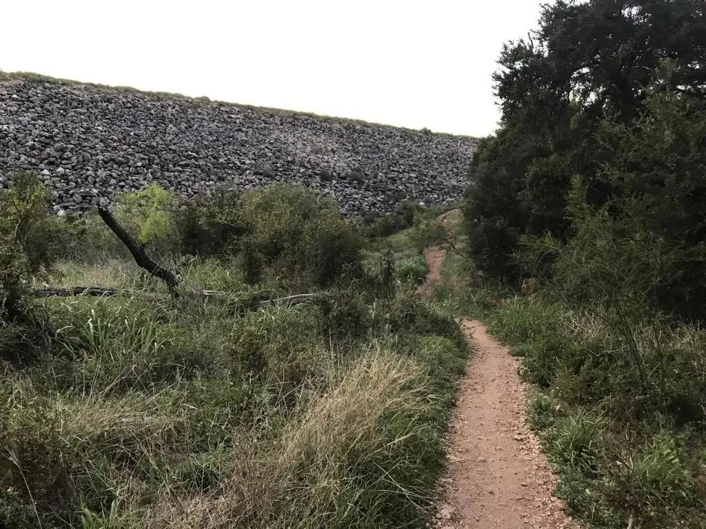 A narrow dirt path through overgrown vegetation next to a steep rocky embankment.