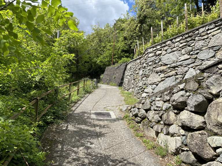 Salita di Scheneno – Itinéraires vélo & Comment s'y rendre | Komoot