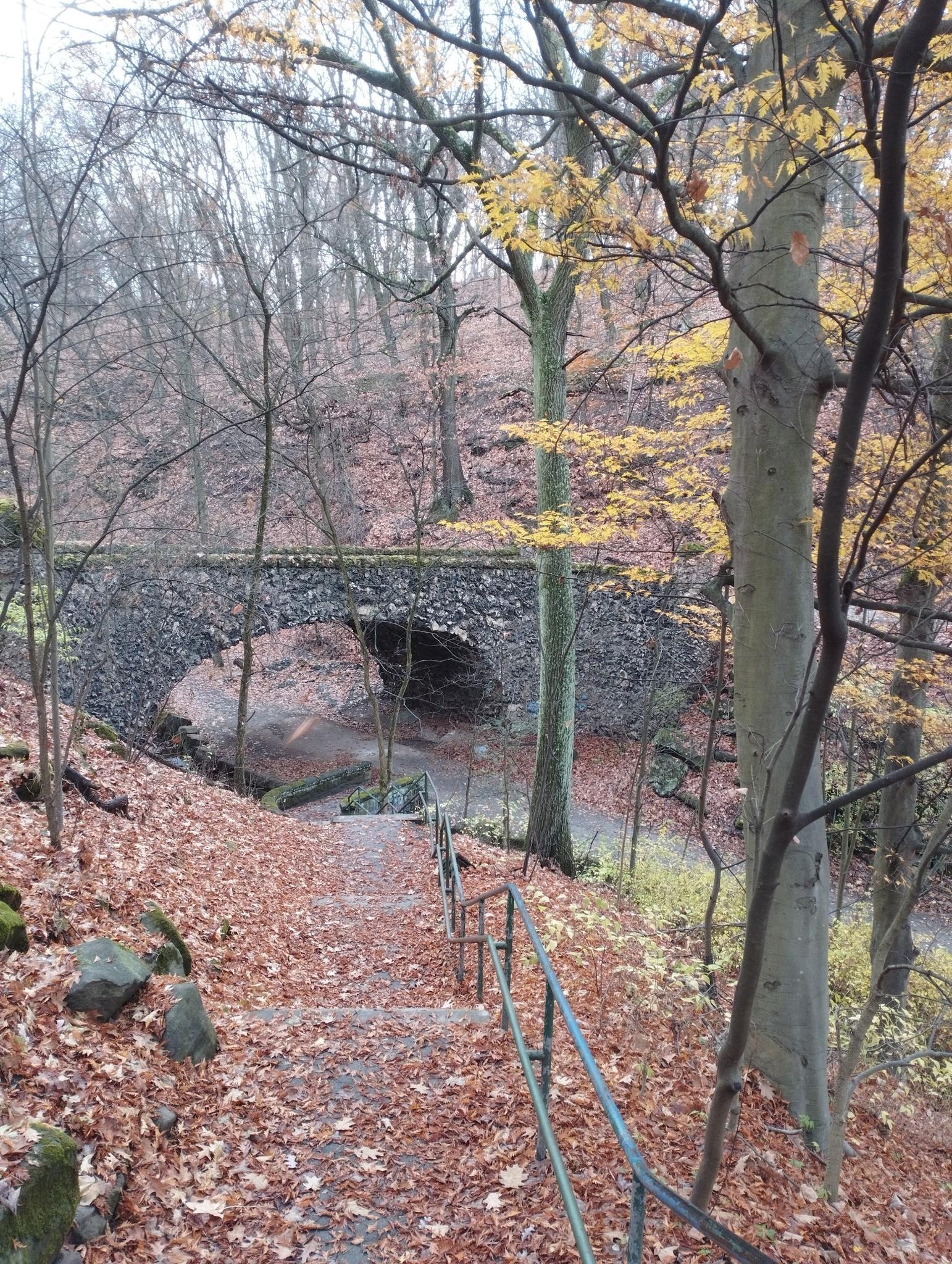 Stone arch bridge over a stream, seen from stairs covered in autumn leaves.