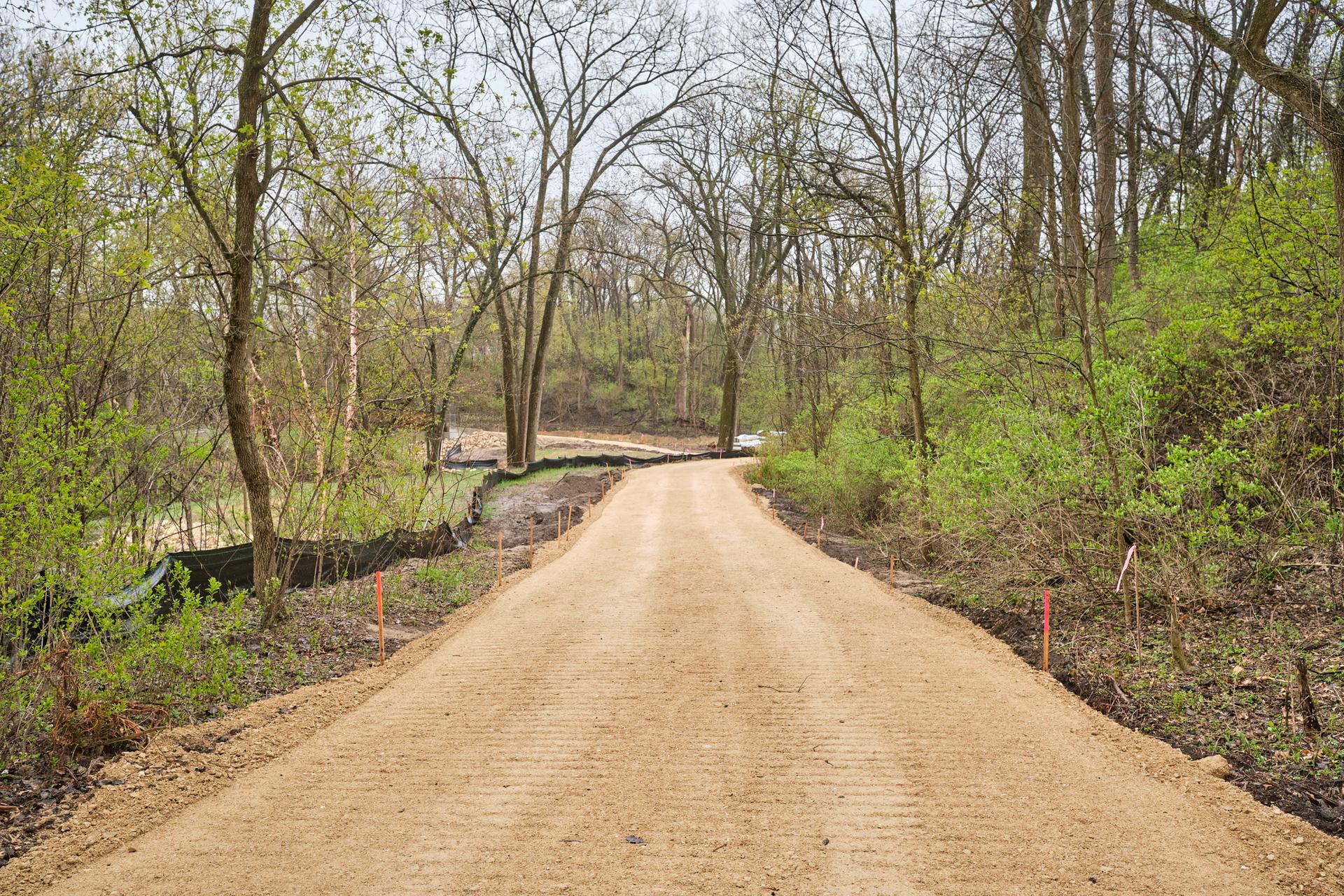 A wide dirt path winding through a forest with bare trees.