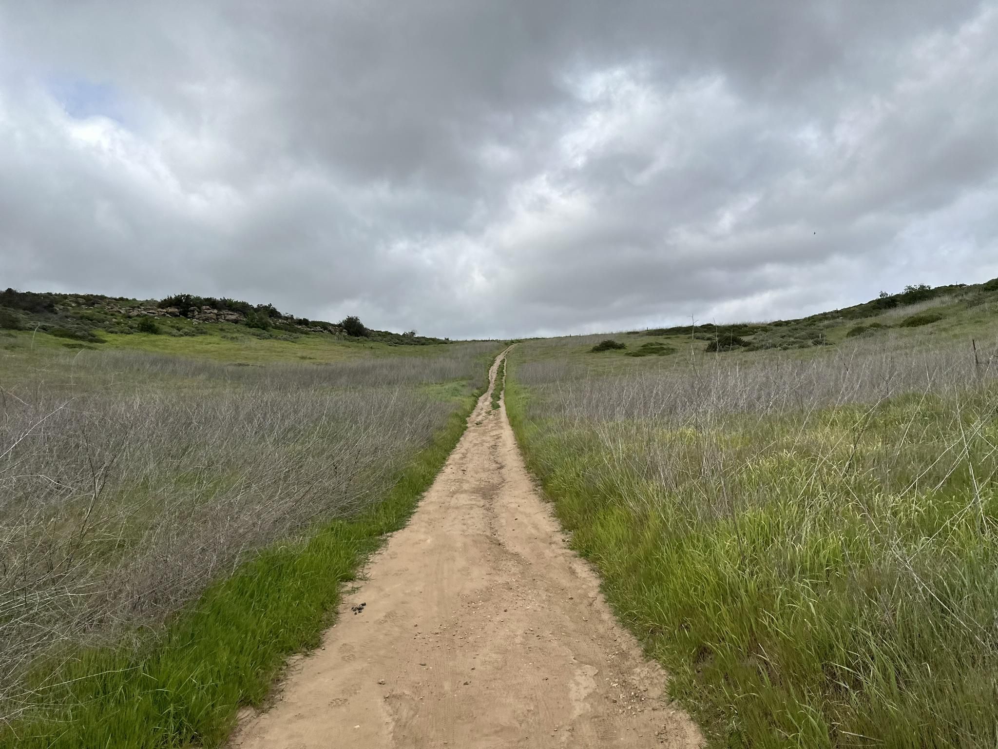 Dirt path through green and dry grass under a cloudy sky. - Quail and Serrano Ridge Trail Loop