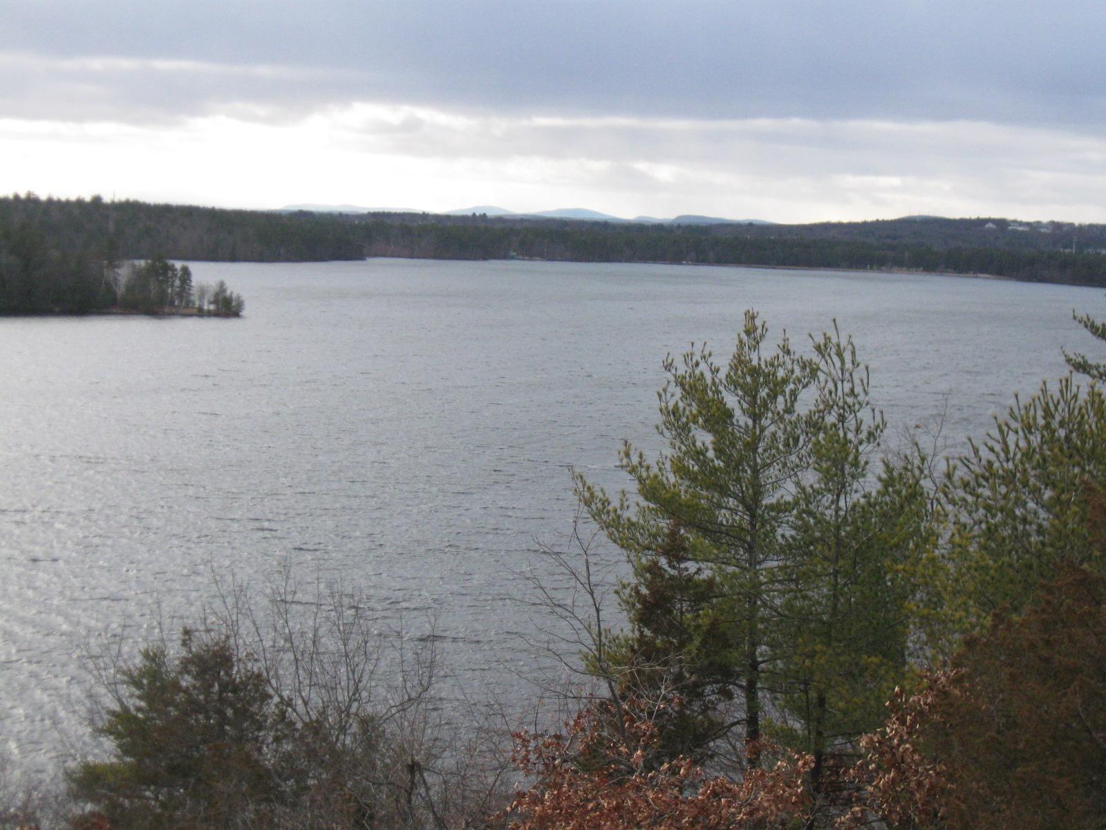 Overcast view of a wide lake with forested shores and foreground trees.