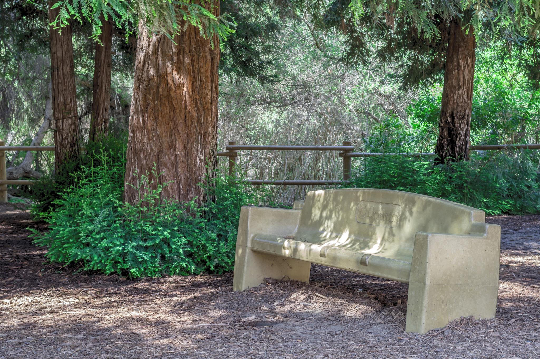 A concrete bench sits under large trees next to a wooden fence.