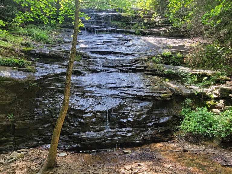 Blowing Wind Falls via Ritchie Hollow Trail — Prentice Cooper State Forest | hike | Komoot