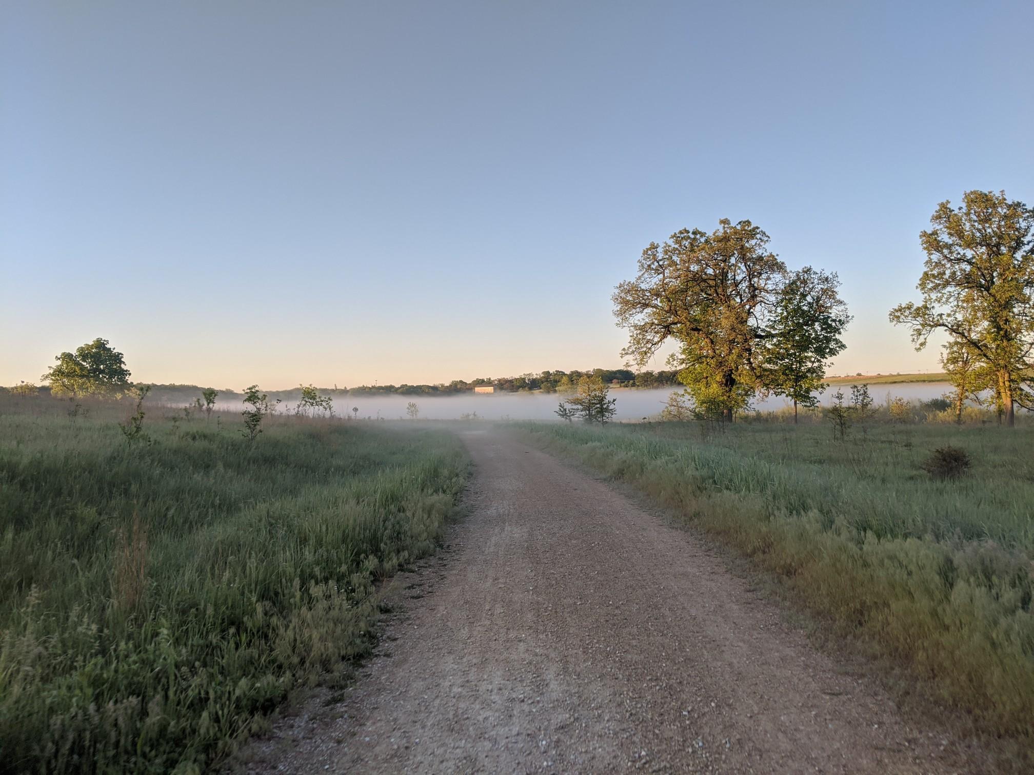 Dirt path through grassy fields, leading to a misty horizon with trees.