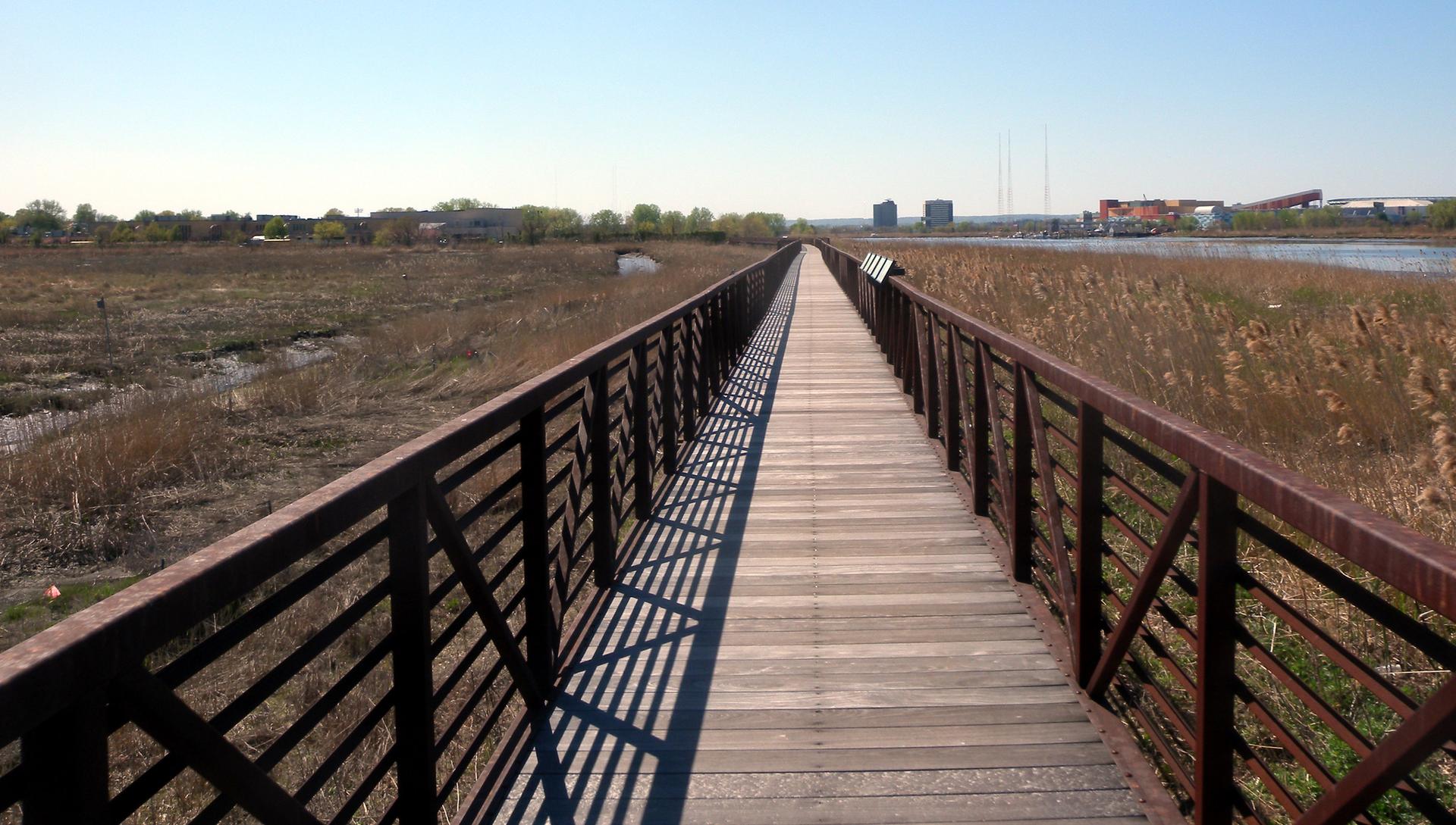Long wooden boardwalk bridge with metal railings over a vast marsh.