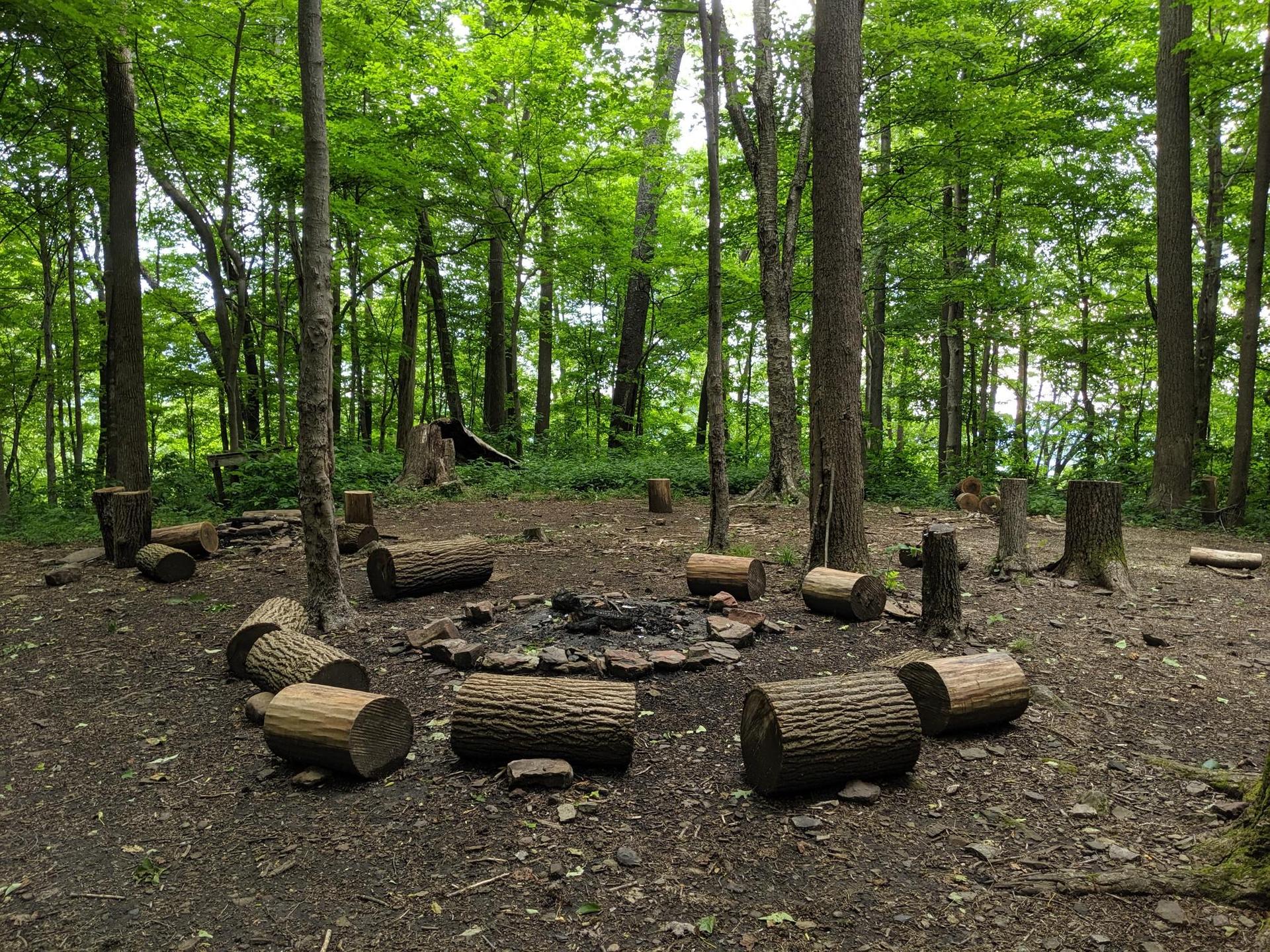A campfire ring surrounded by log seats in a lush green forest clearing.