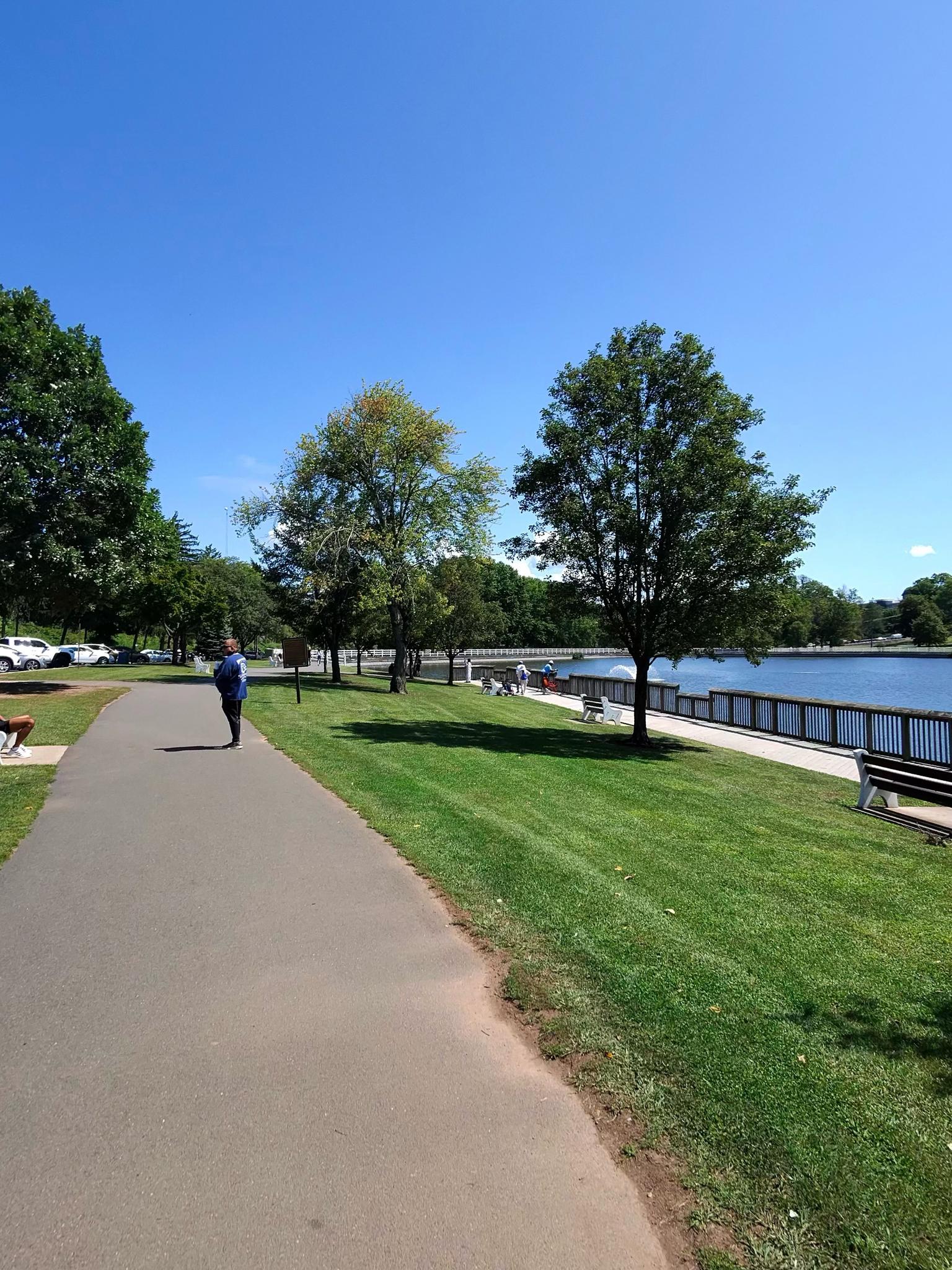 Person walking on a paved path beside a sunny lake with trees.