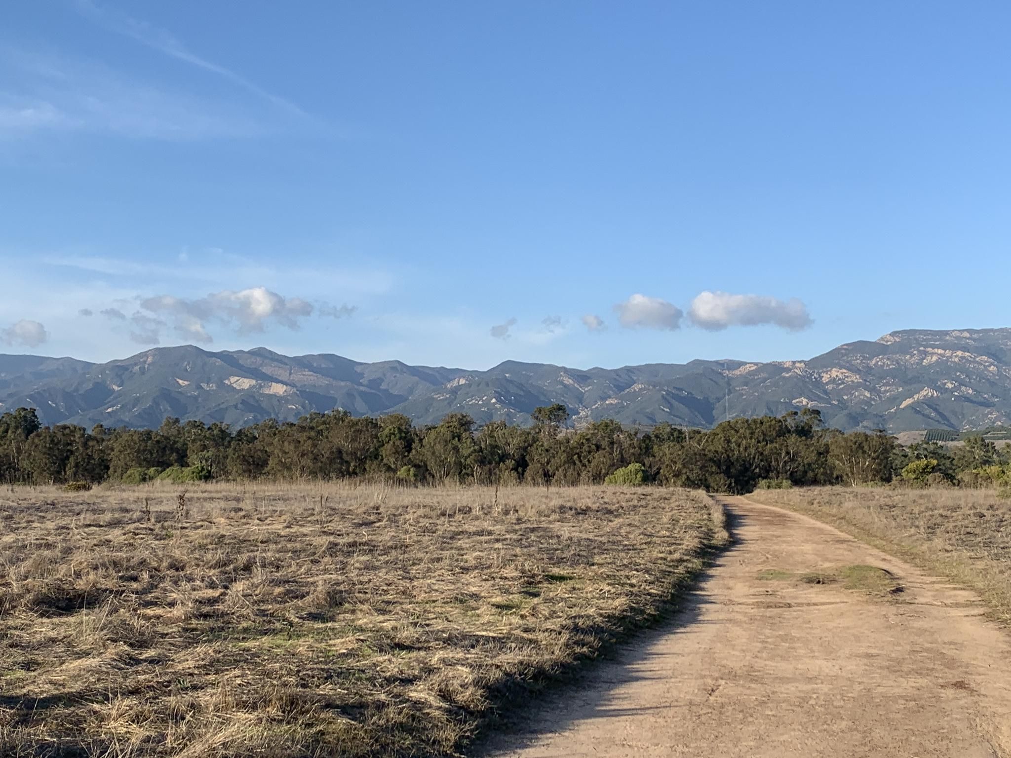 Dirt path through dry field towards distant mountains under a clear sky. - Ellwood Forest Park Loop