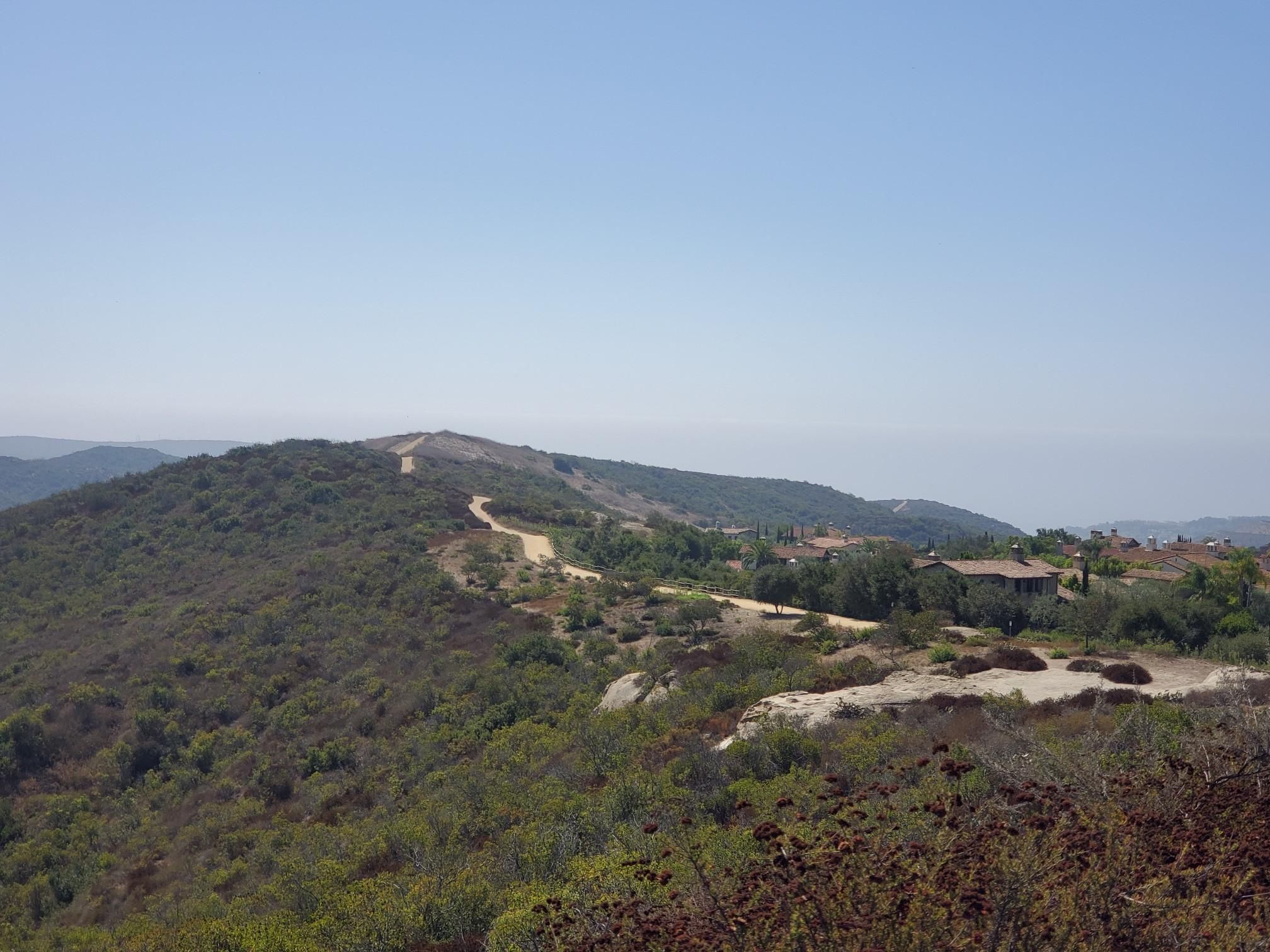 A dirt road winds through green hills with distant houses under a bright blue sky. - Moro Canyon and Moro Ridge Loop