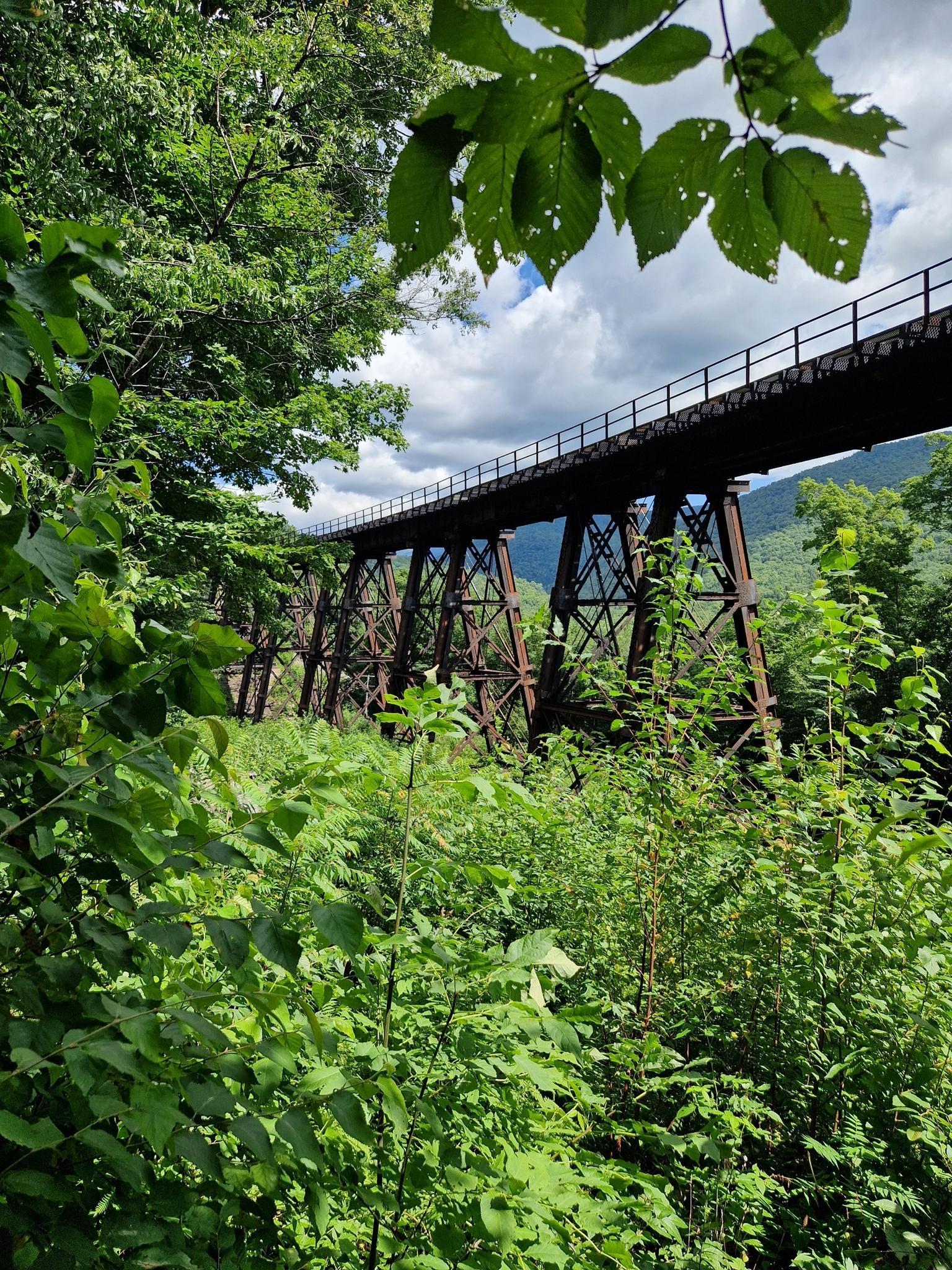 A large metal trestle bridge spans a lush green valley.
