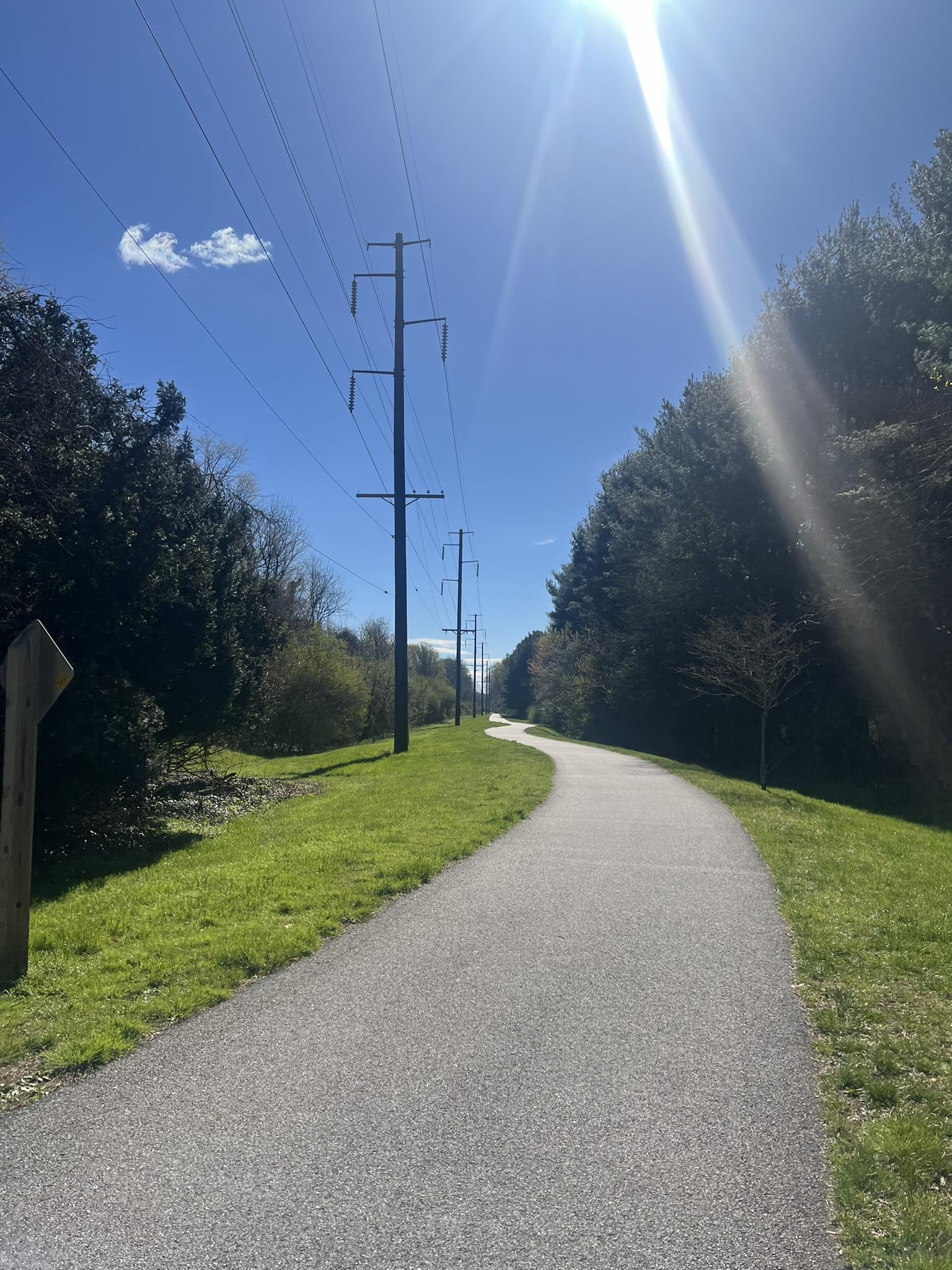 Paved path winding through green trees and power lines under a bright sun.