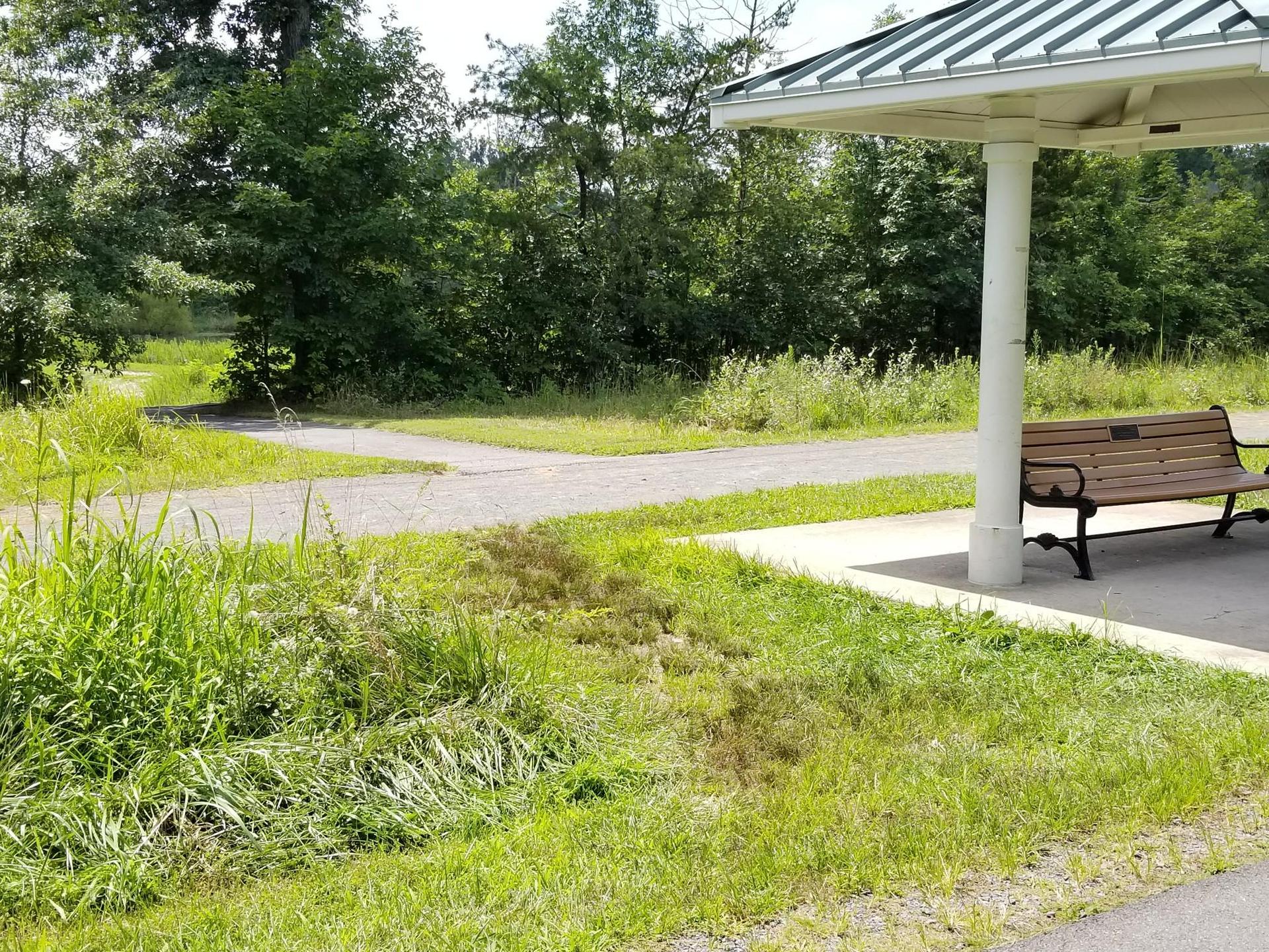 A park shelter with a bench next to a paved path on a sunny day.