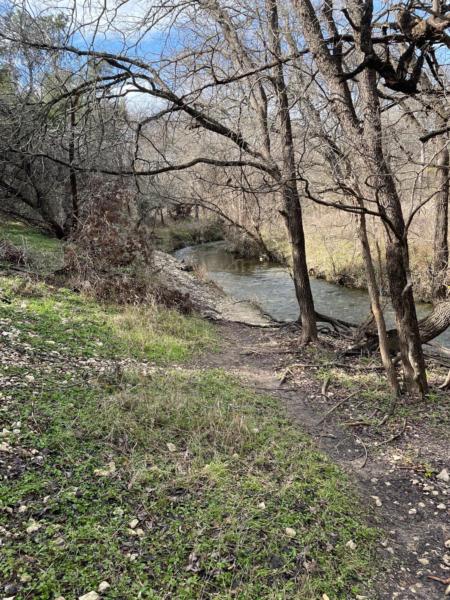 A dirt path leads along a winding stream through a bare winter forest.