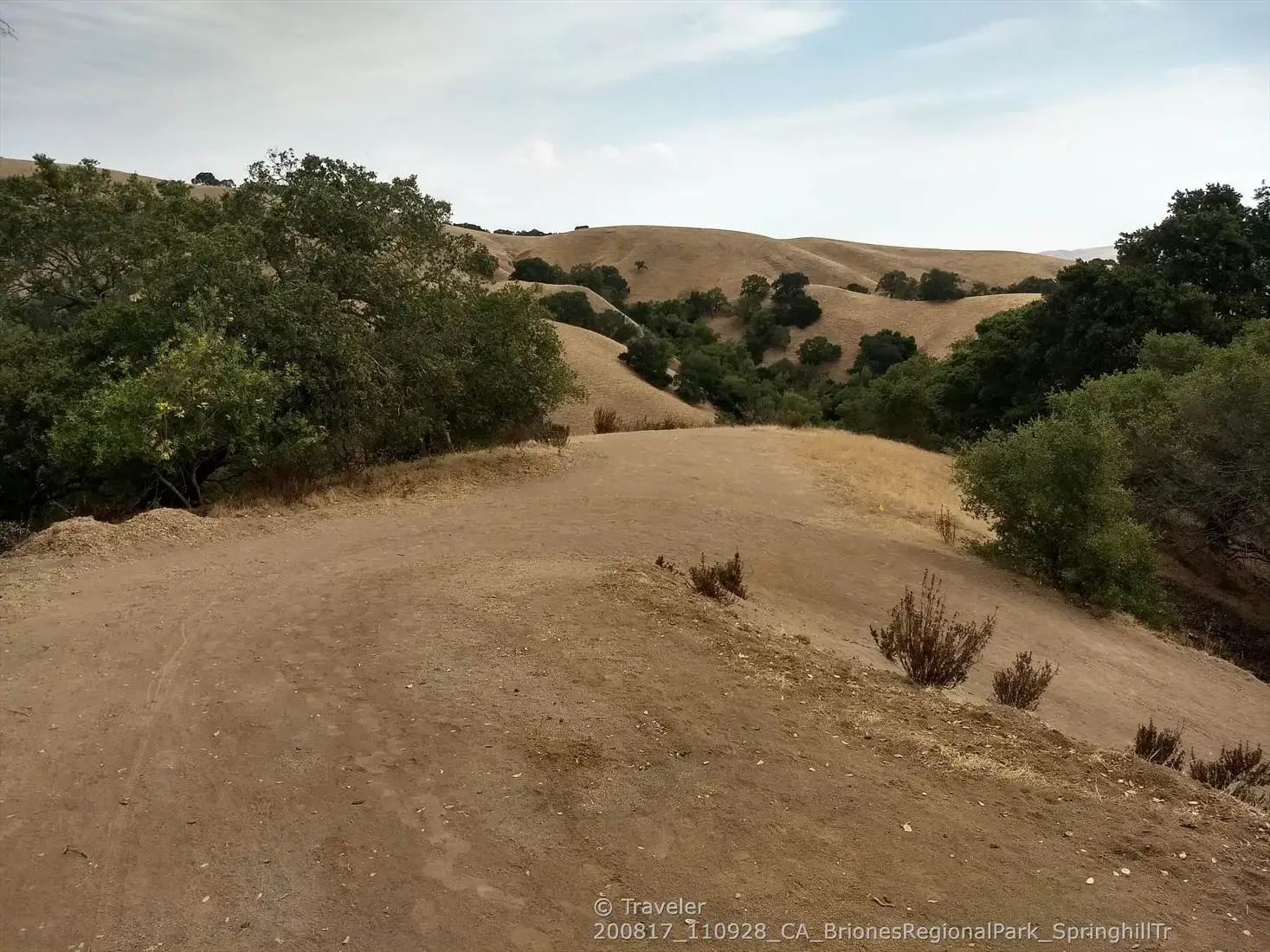 Winding dirt trail through dry, rolling hills with scattered green trees.