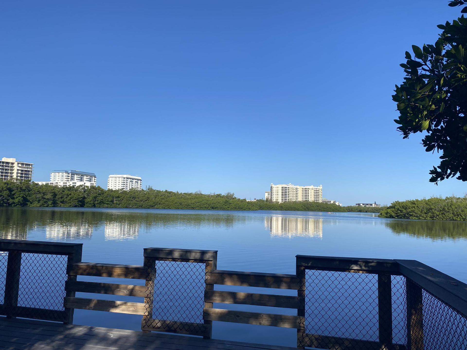 Wooden dock railing overlooks calm water reflecting distant buildings and mangroves.