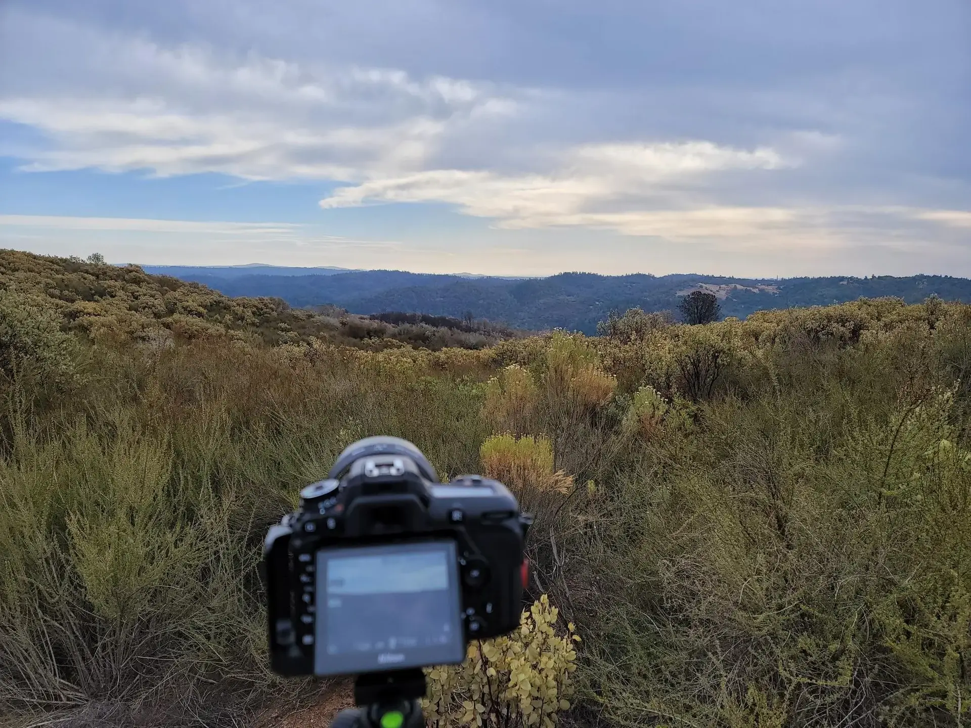 A camera on a tripod overlooks a vast, brush-covered landscape under cloudy skies.
