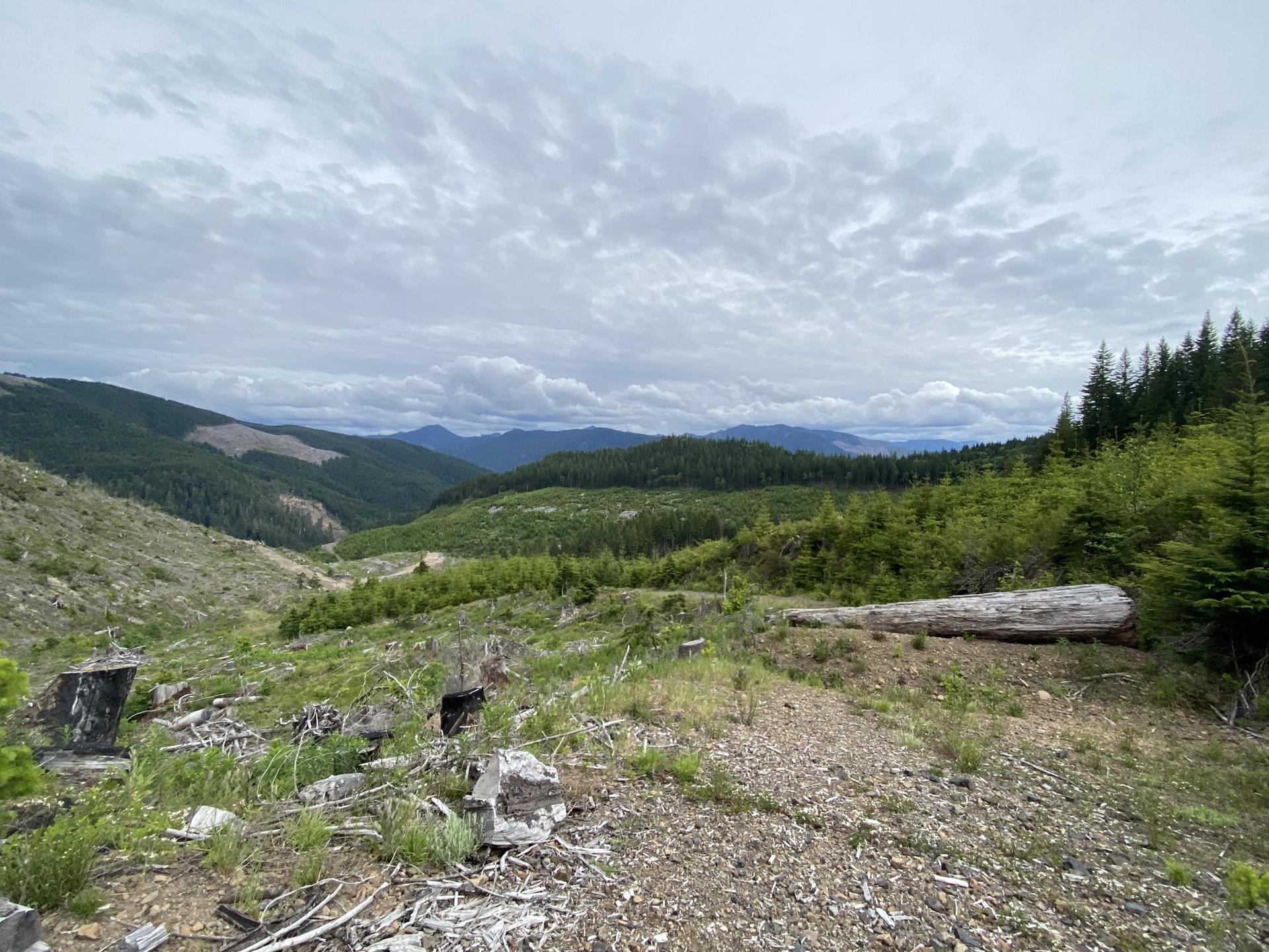 Cleared hillside with a large fallen log, overlooking a valley and forested mountains.
