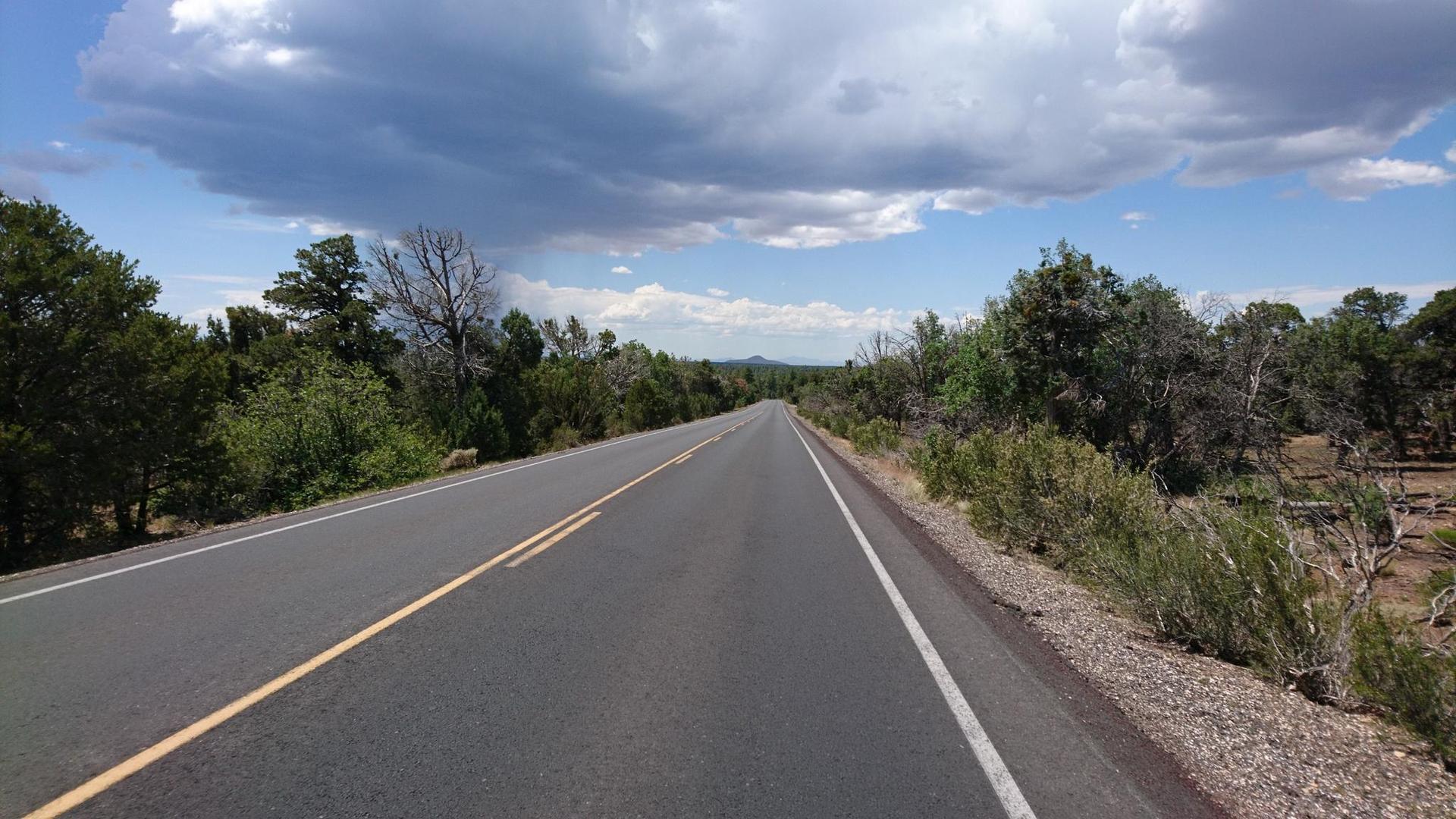Long paved road stretching through a green forest under a cloudy sky.