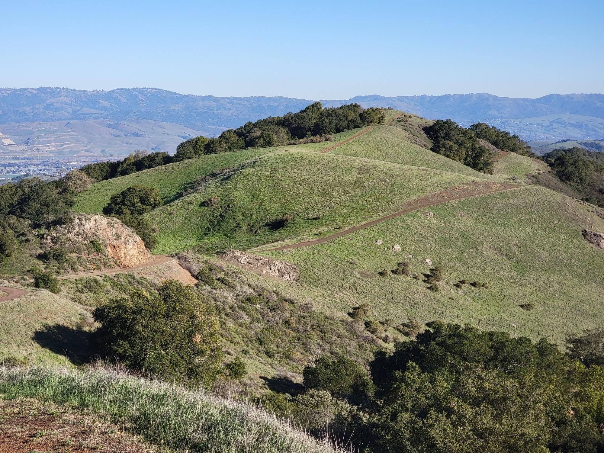 Rolling green hills with scattered trees and distant mountains under clear sky. - Bald Peaks, Needlegrass, and Little Llagas Creek Loop