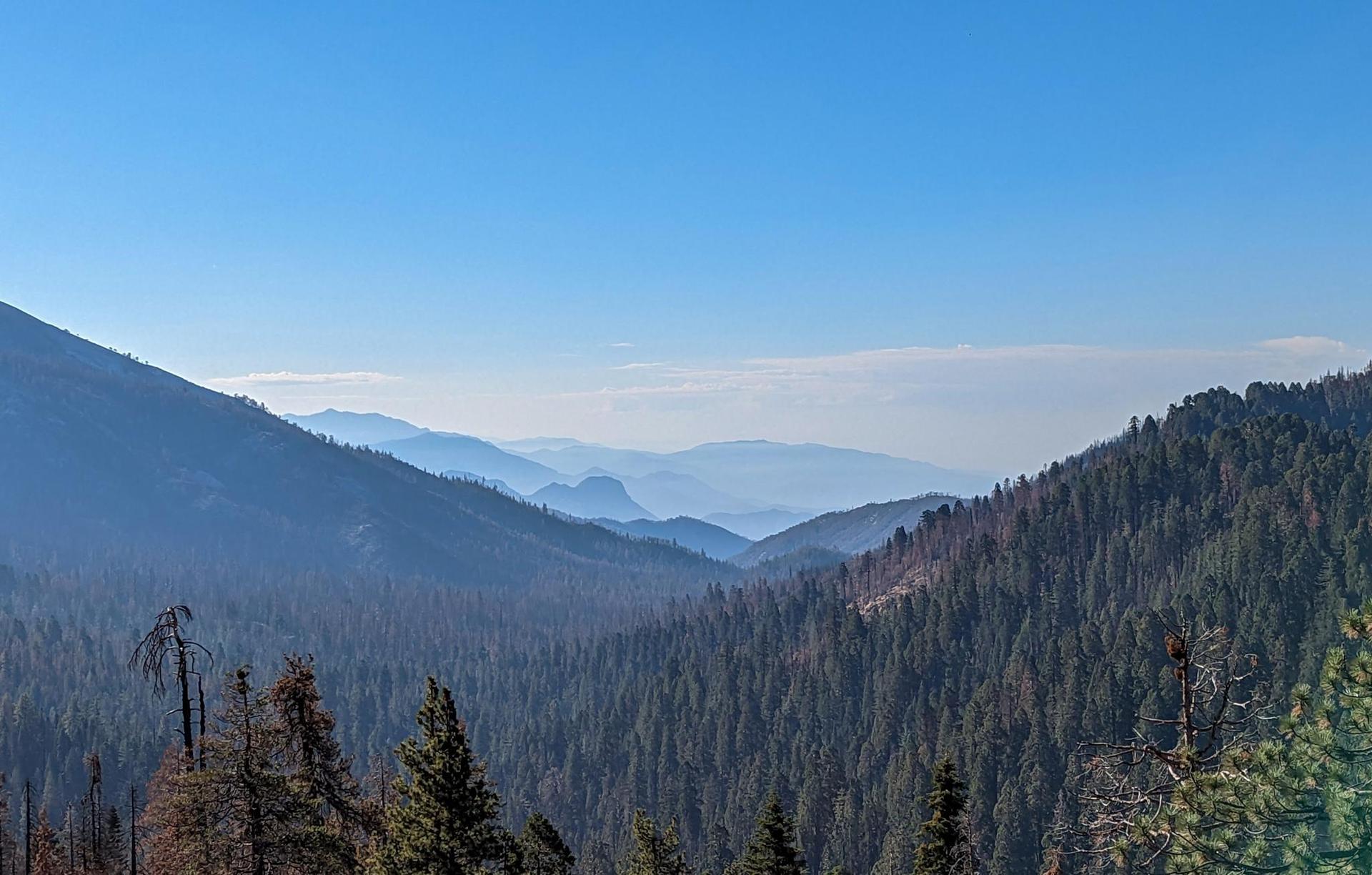 Expansive view of forested mountain valleys under a clear blue sky.