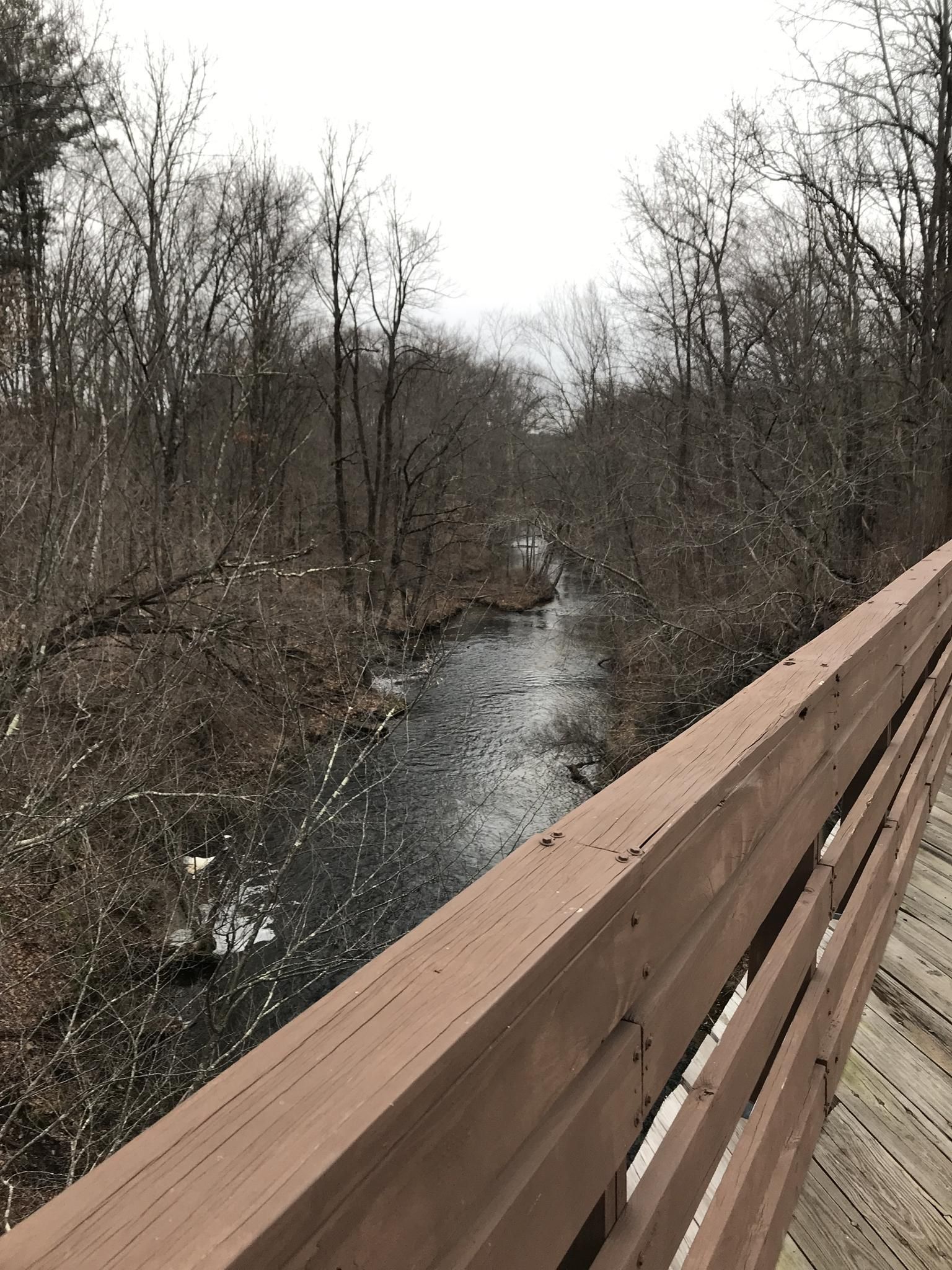 River flowing through a dense bare winter forest under a gray sky. - Fort River Bridge loop from Mount Holyoke Range State Park