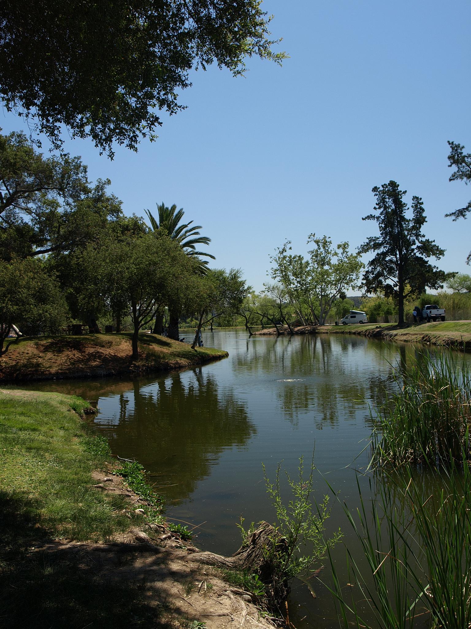 Sunny day over a tranquil pond surrounded by green trees and grass.