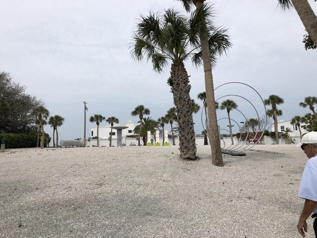 Overcast view of a sandy area with palm trees and a person walking.