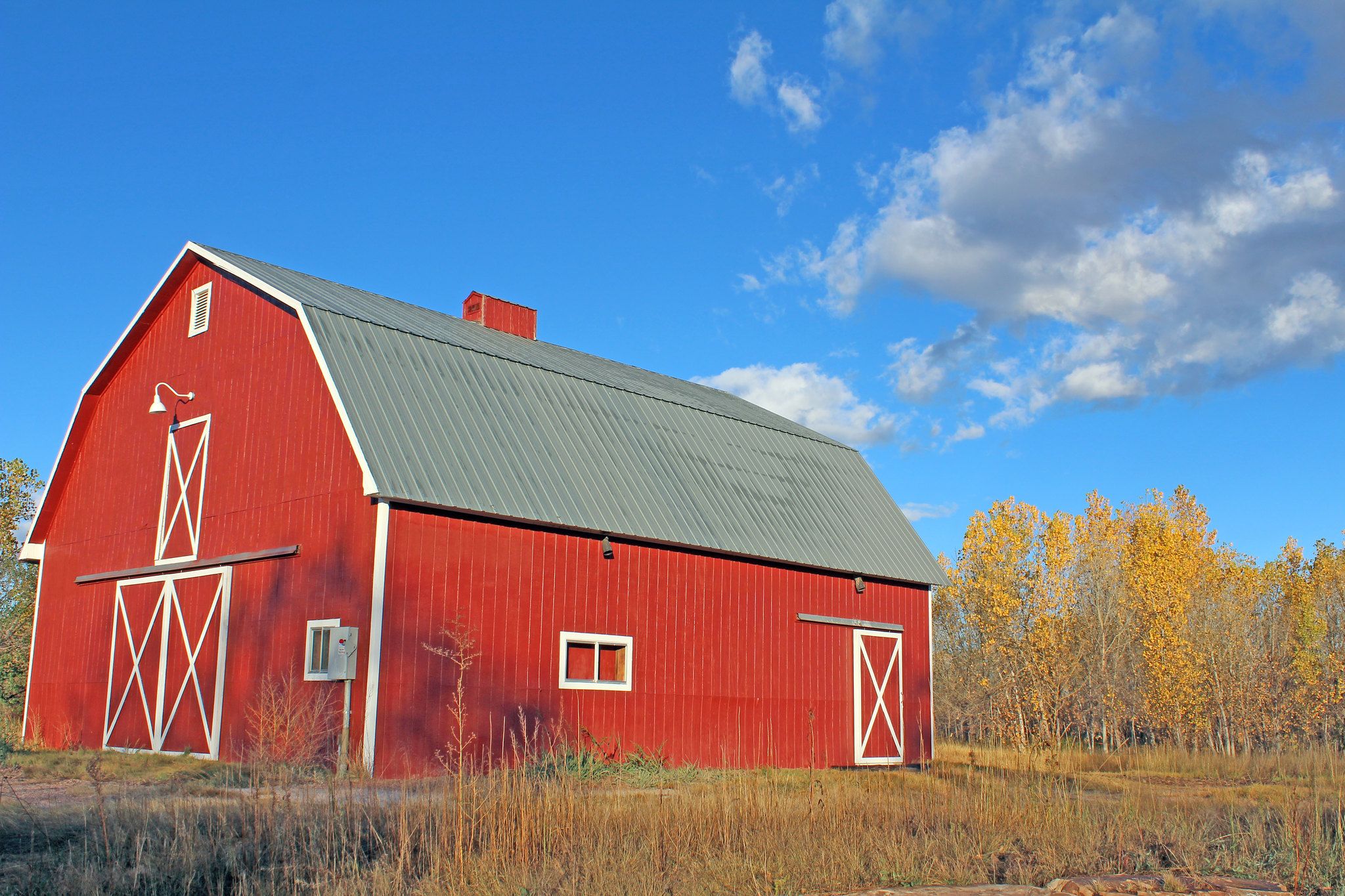 Bright red barn in a field with yellow trees under a cloudy blue sky. - Signature Bluffs Natural Area – Cache La Poudre River loop from Greeley