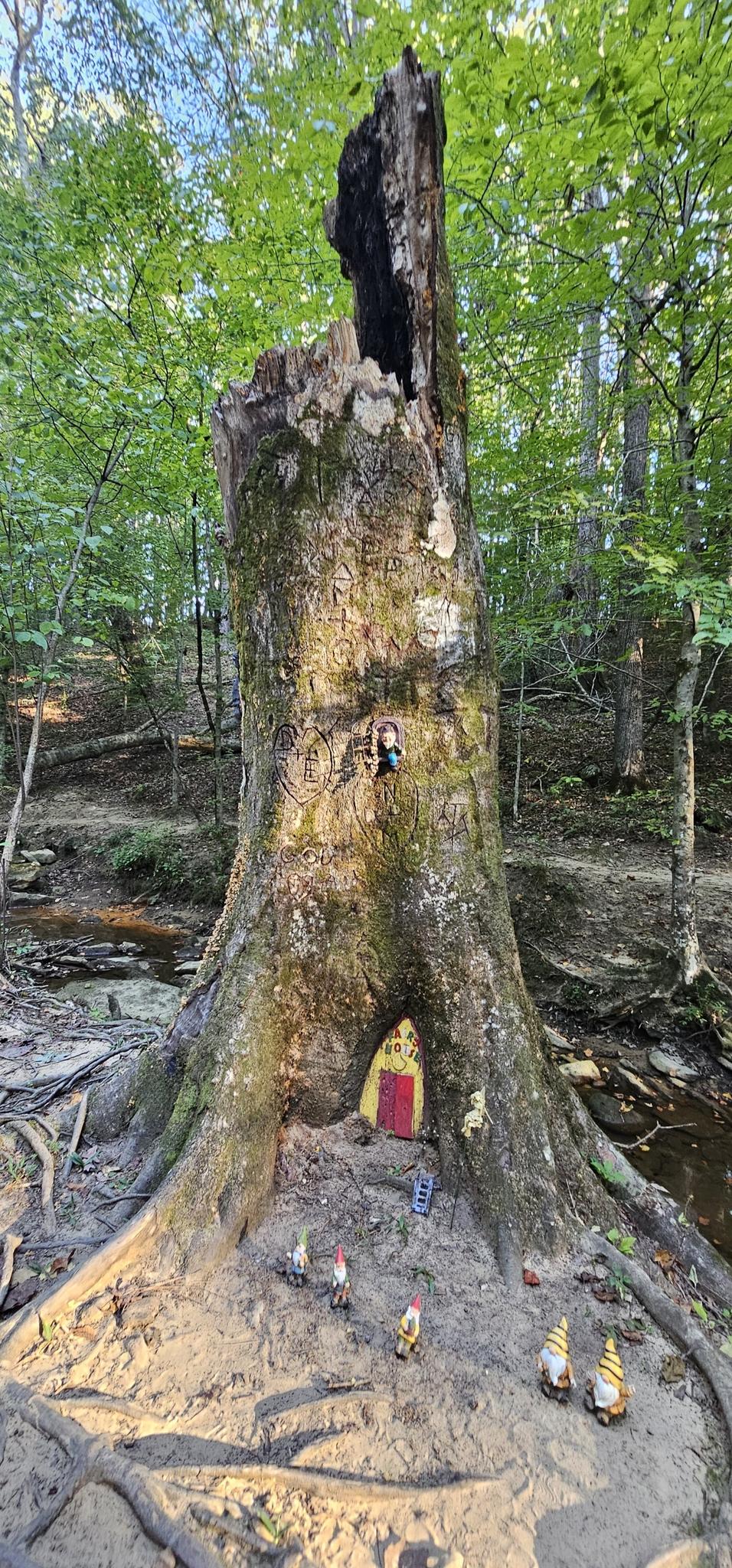 A large tree stump decorated with a tiny door and gnome figurines.