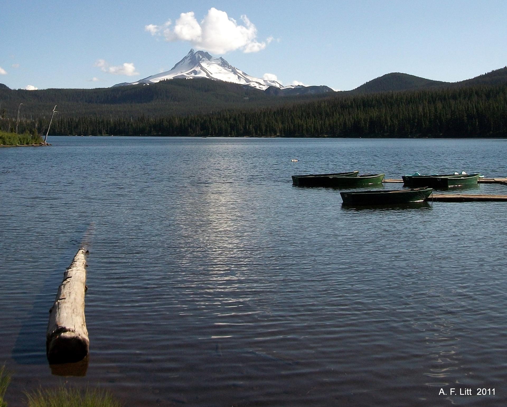 Lake with docked boats, a log, and a snow-capped mountain on a bright day.