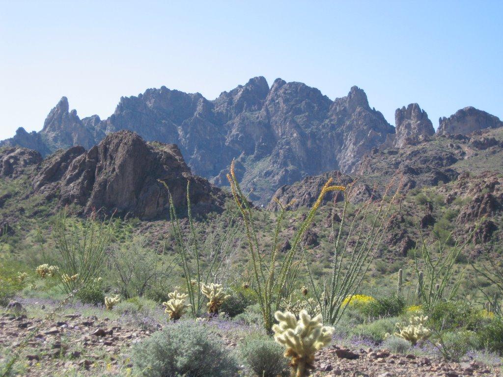 Rugged desert mountains with cacti and scrub brush under a bright sky.
