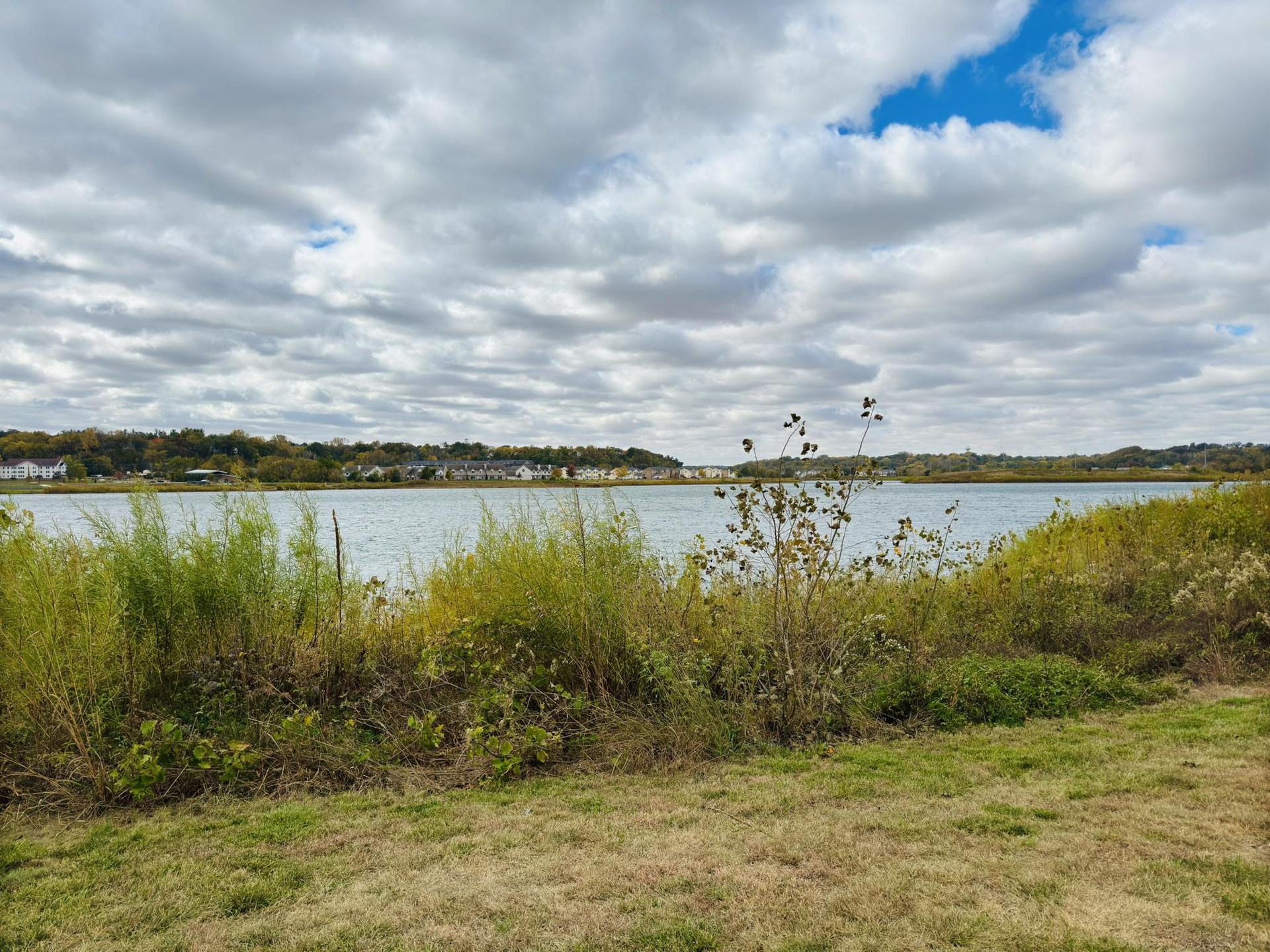 Overgrown grassy foreground overlooking a lake under a cloudy sky.