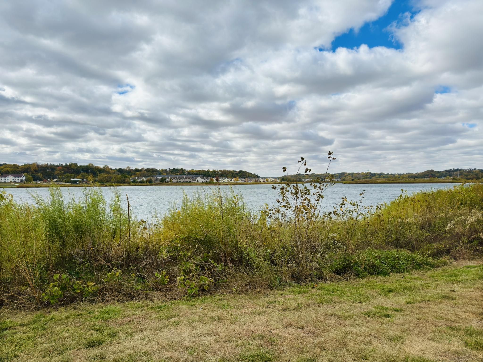 Overgrown grassy foreground overlooking a lake under a cloudy sky. - Cascade Creek Loop Trail