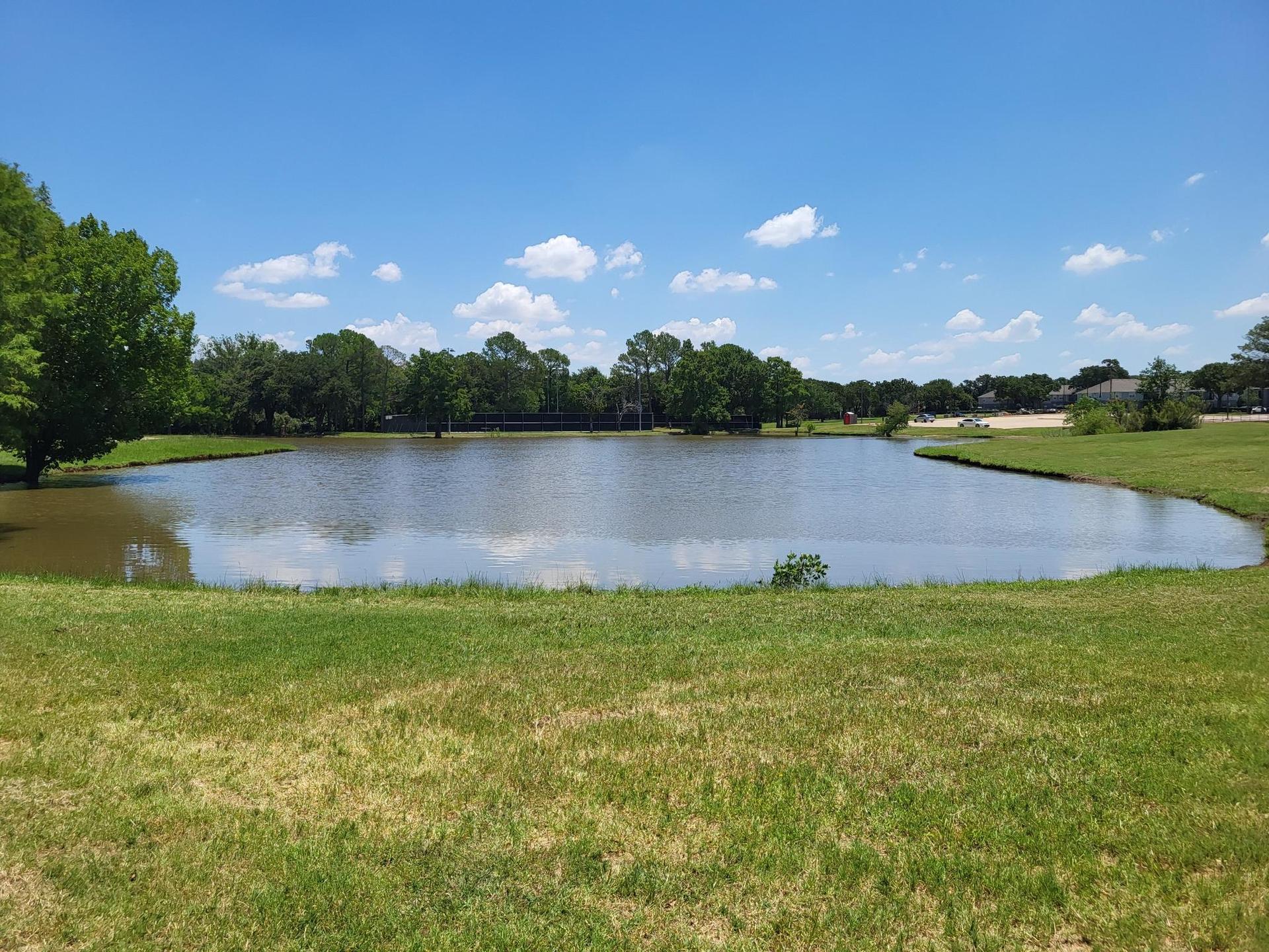 A calm pond reflecting a bright blue sky, surrounded by green grass and trees.