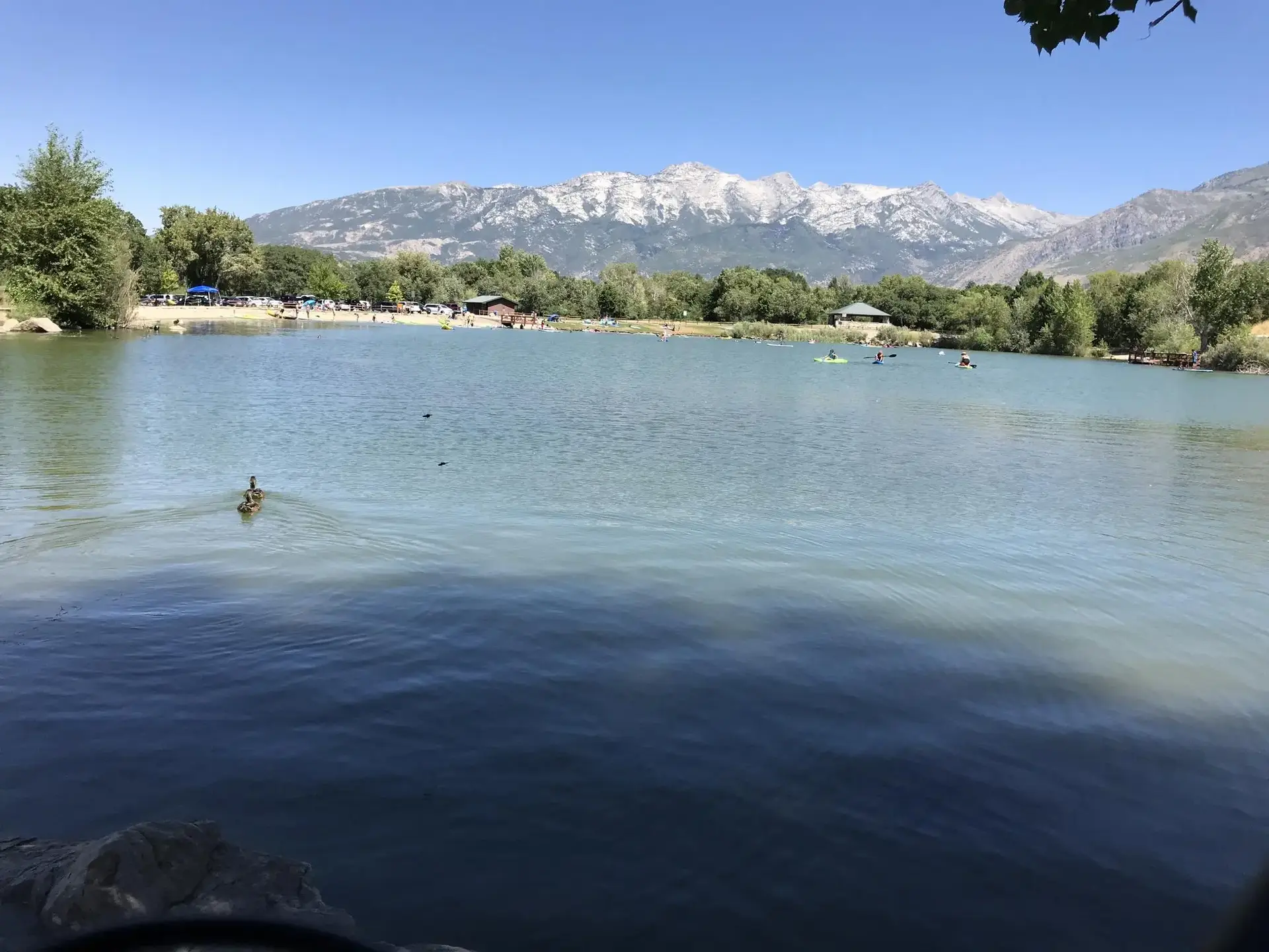 Sunny lake with people swimming, paddleboarding, and relaxing on the shore.